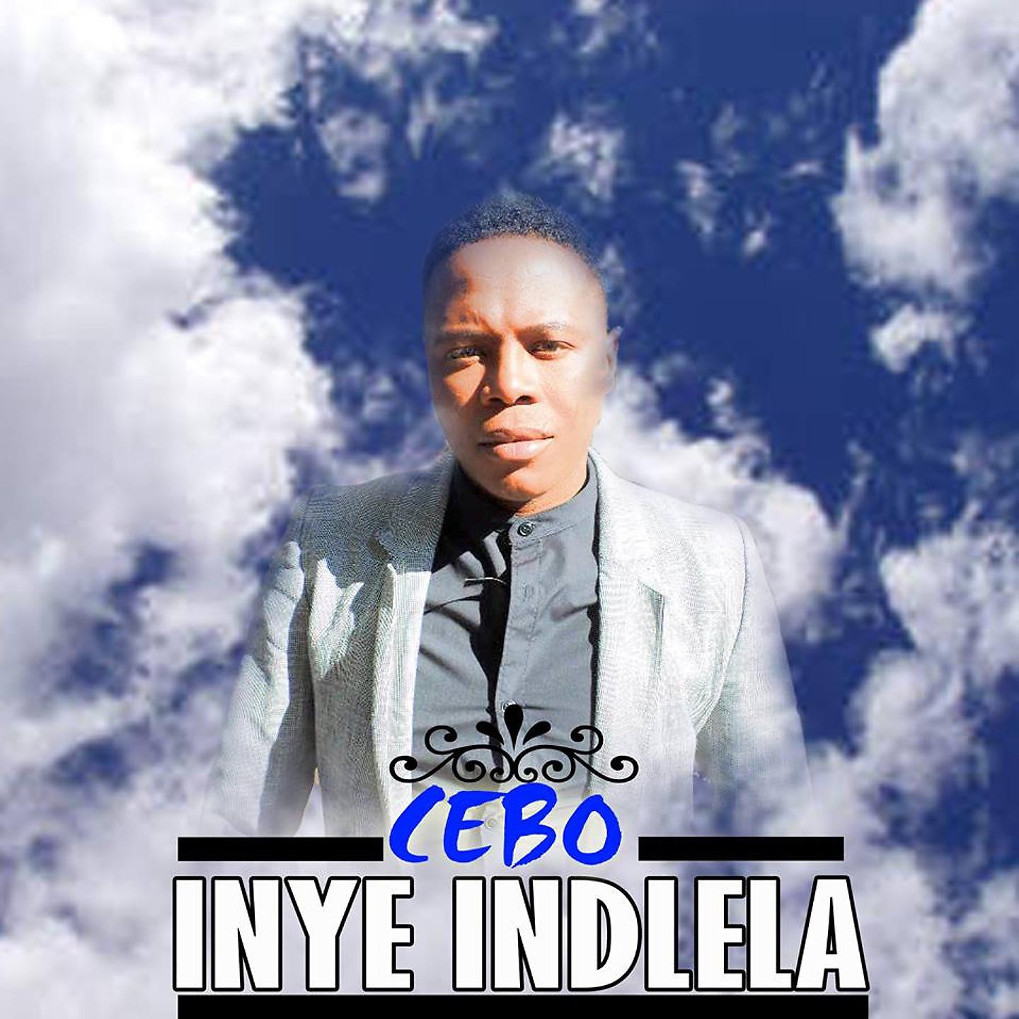 Постер альбома Inye Indlela