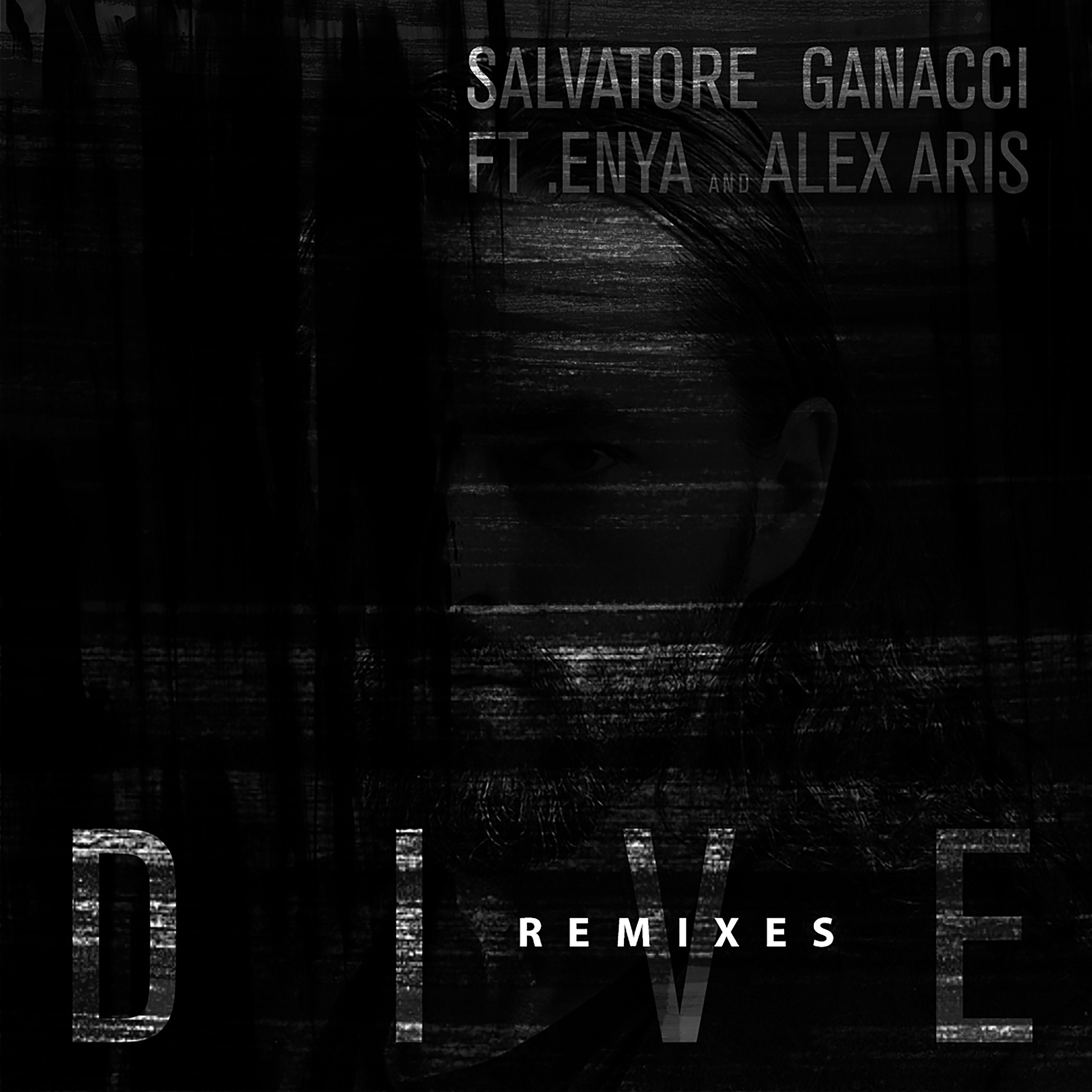 Постер альбома Dive (feat. Enya and Alex Aris) [The Remixes]