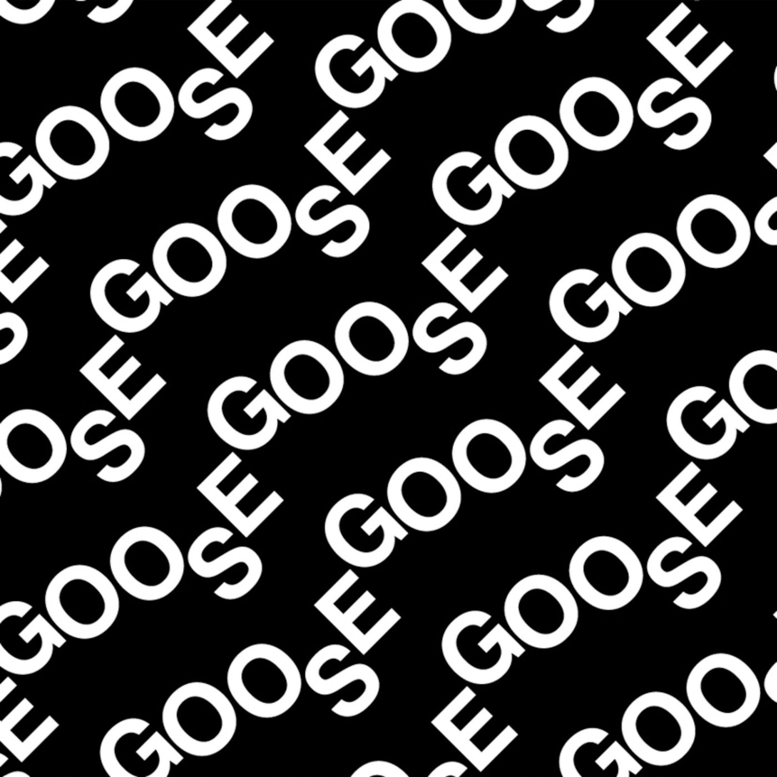GOOSE - Everybody (The Bloody Beetroots Remix)