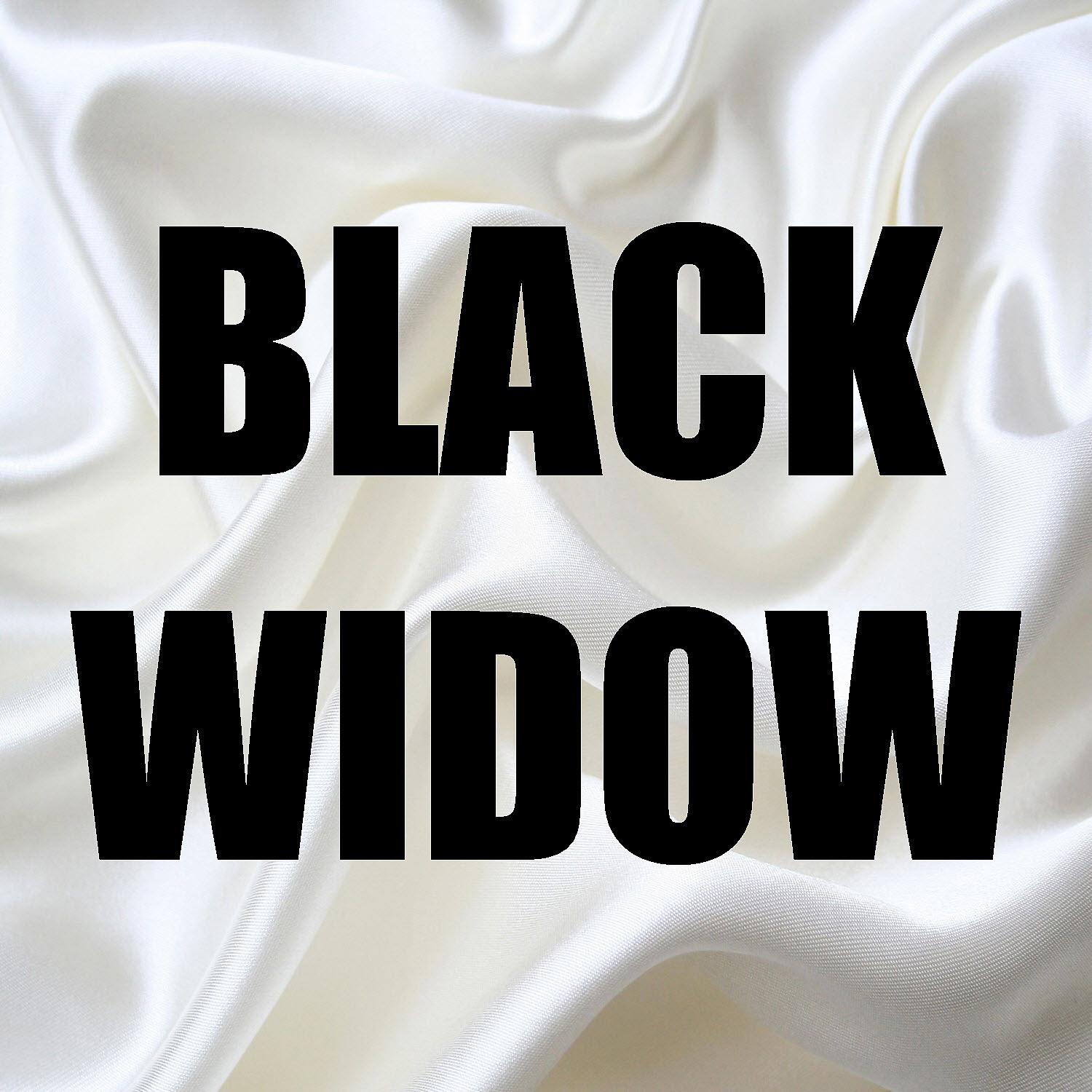 Постер альбома Black Widow (In the Style of Iggy Azalea & Rita Ora) [Instrumental Version] - Single