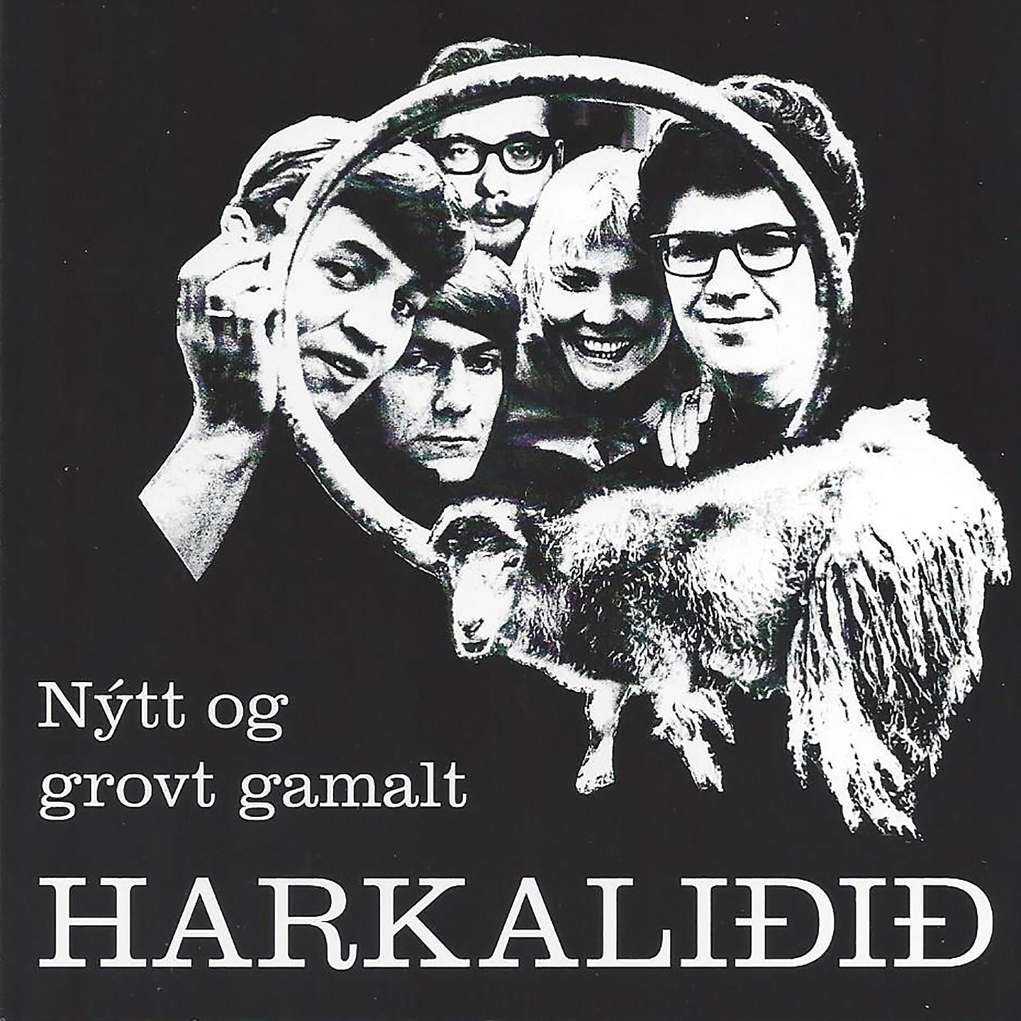 Постер альбома Nýtt og grovt gamalt