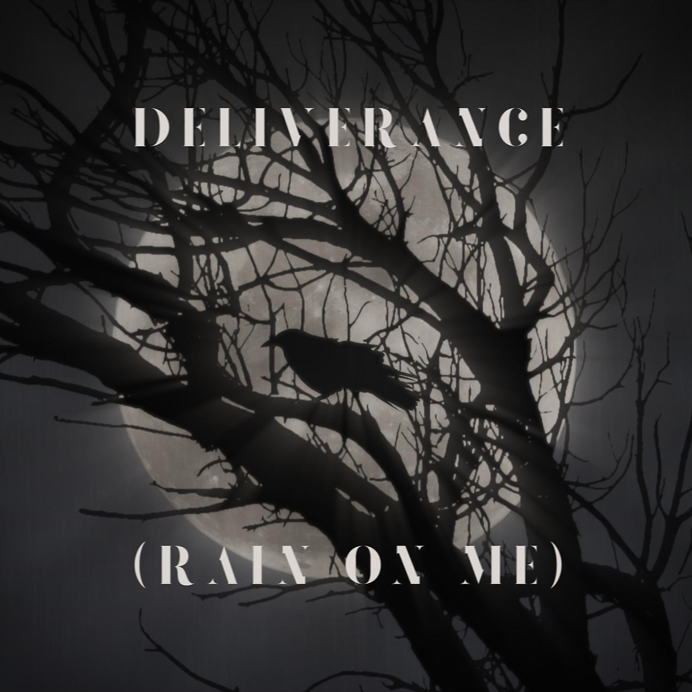 Постер альбома Deliverance (Rain on Me)