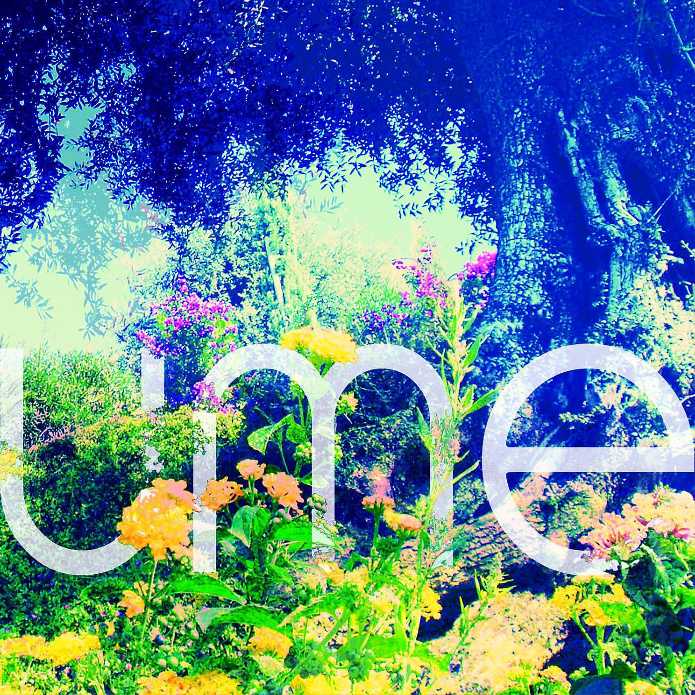 Постер альбома Sunshower EP