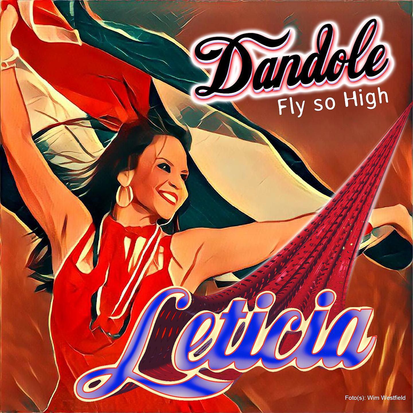 Постер альбома Dandole
