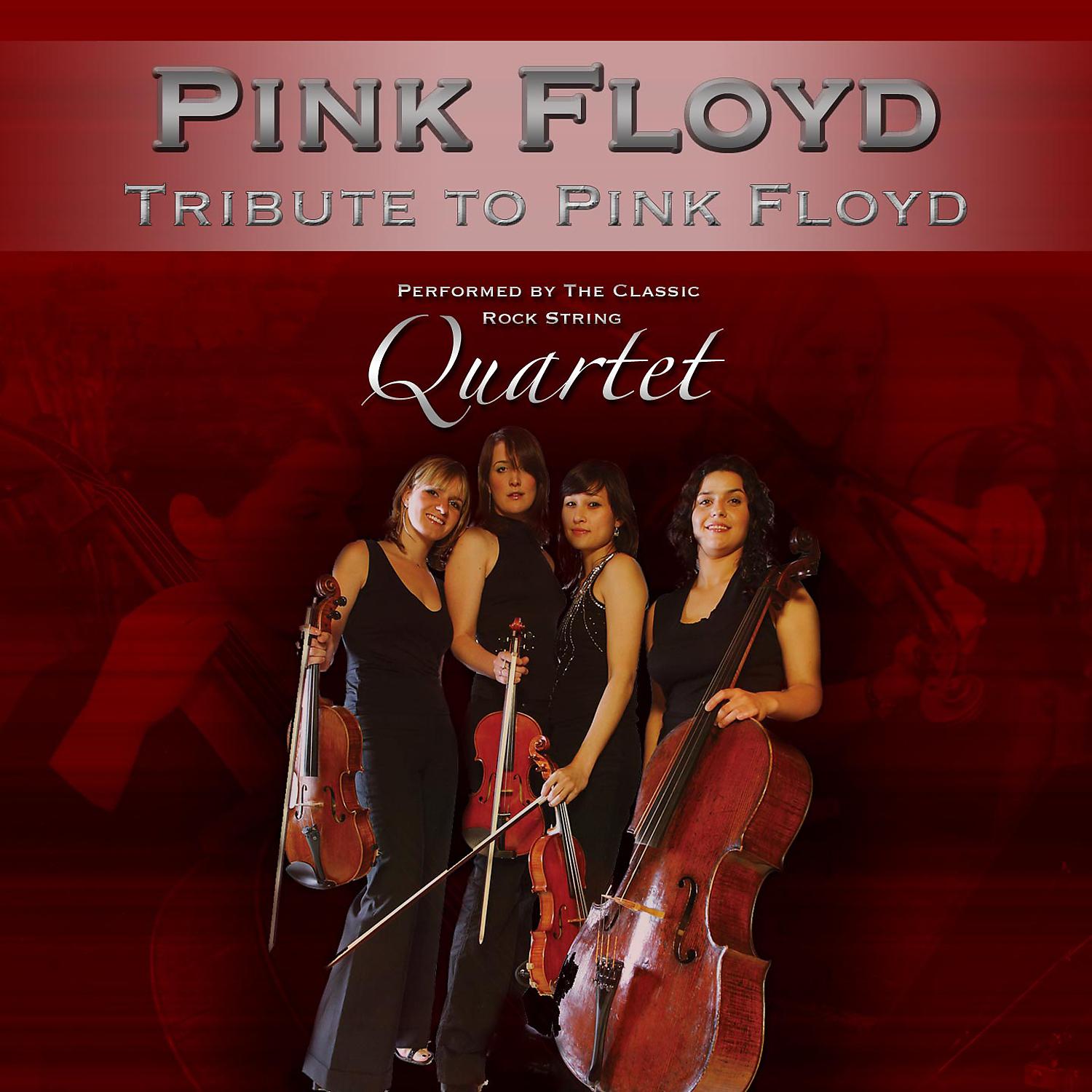 Постер альбома Tribute To Pink Floyd