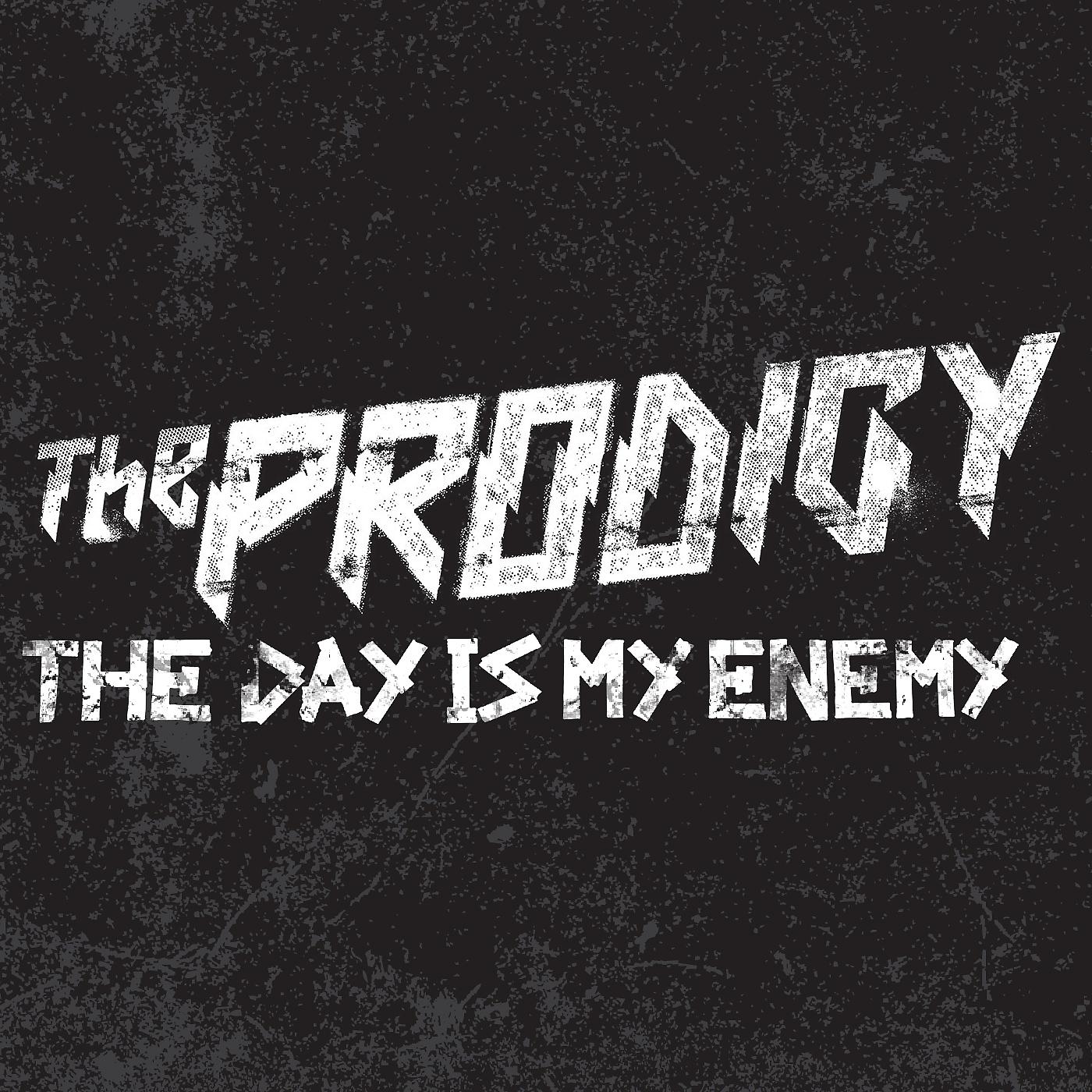 Постер альбома The Day Is My Enemy