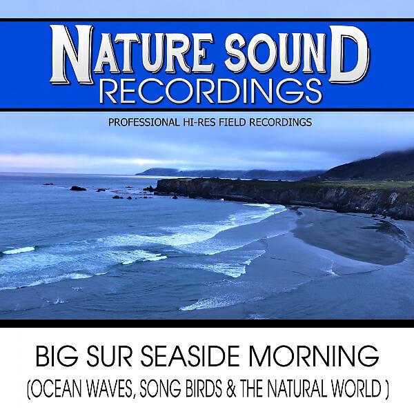 Nature Sound Recordings - Jade Coast Sea Sounds