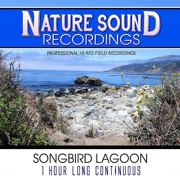 Постер альбома Songbird Lagoon - 1 Hour Long Continuous
