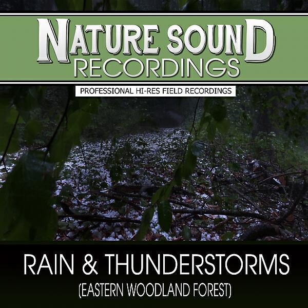 Nature Sound Recordings - Rain Turns Heavy