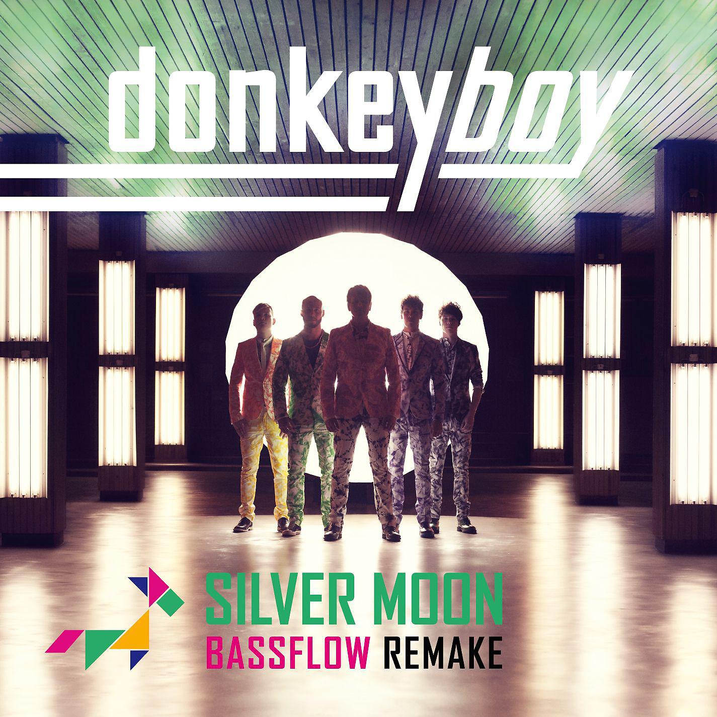Постер альбома Silver Moon Bassflow Remake