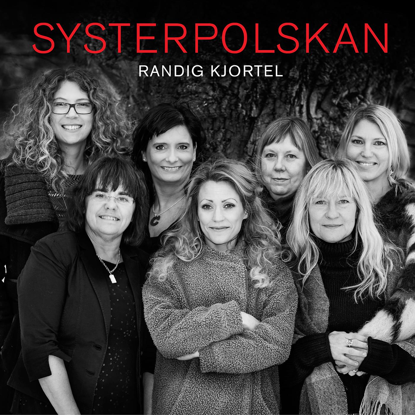 Постер альбома Randig kjortel