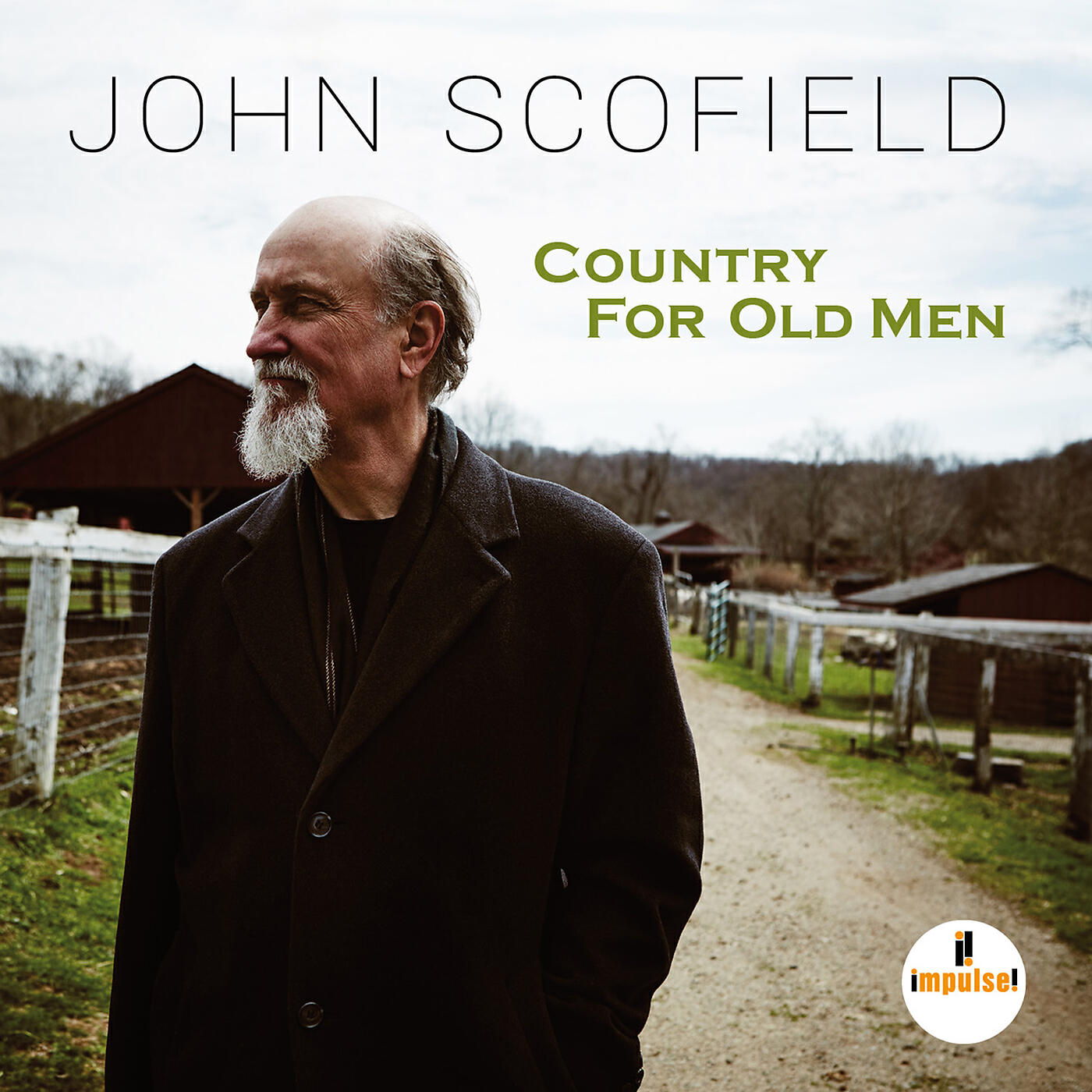 John Scofield - Mr Fool