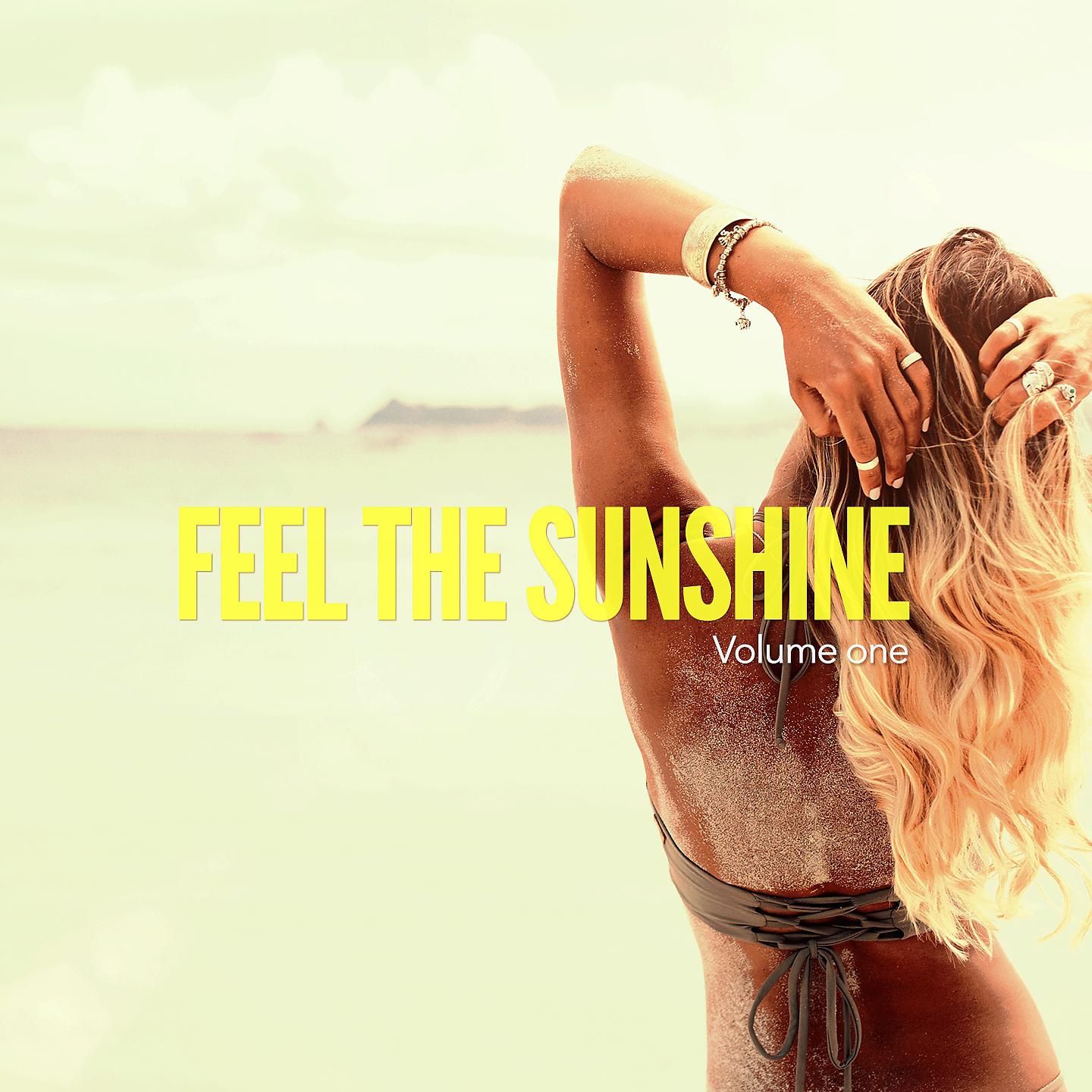 Постер альбома Feel The Sunshine, Vol. 1