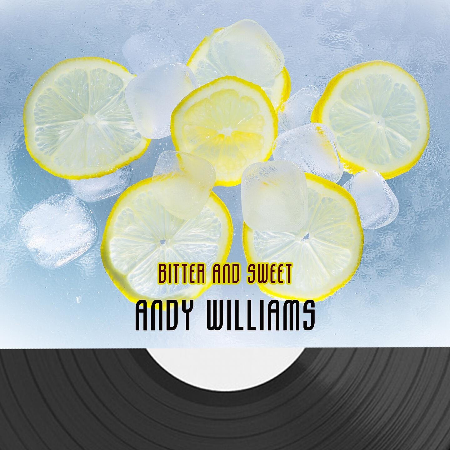 Andy Williams - The Little Drummer Boy
