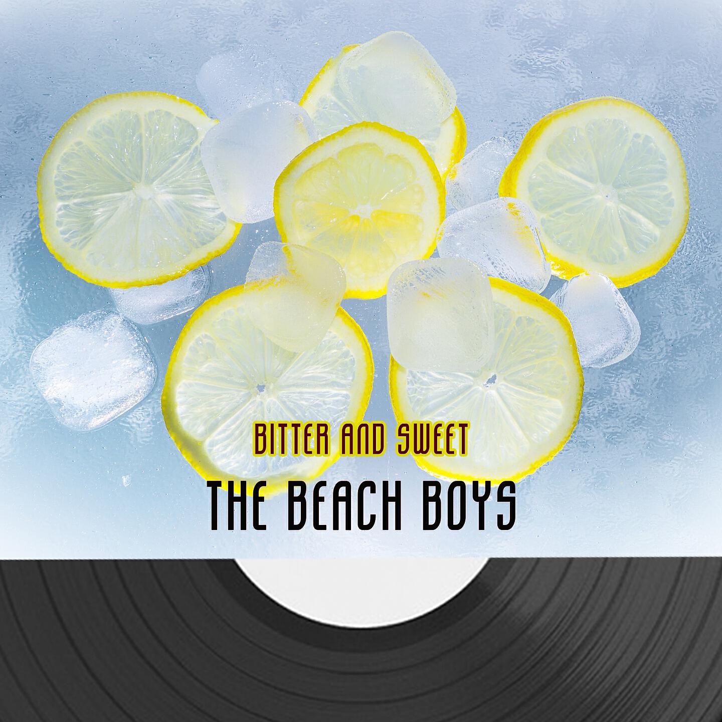 The Beach Boys - Pom Pom Play Girl