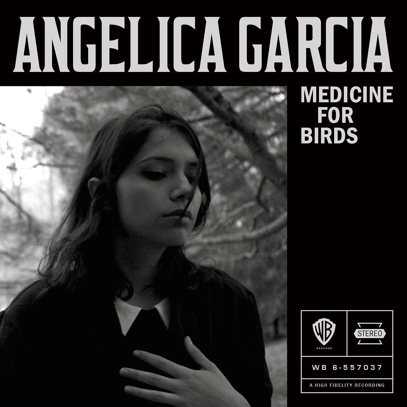 Постер альбома Medicine for Birds