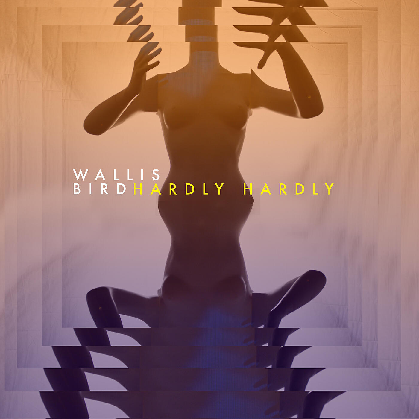 Wallis Bird - Hardly Hardly (Sébastien Léger Remix)