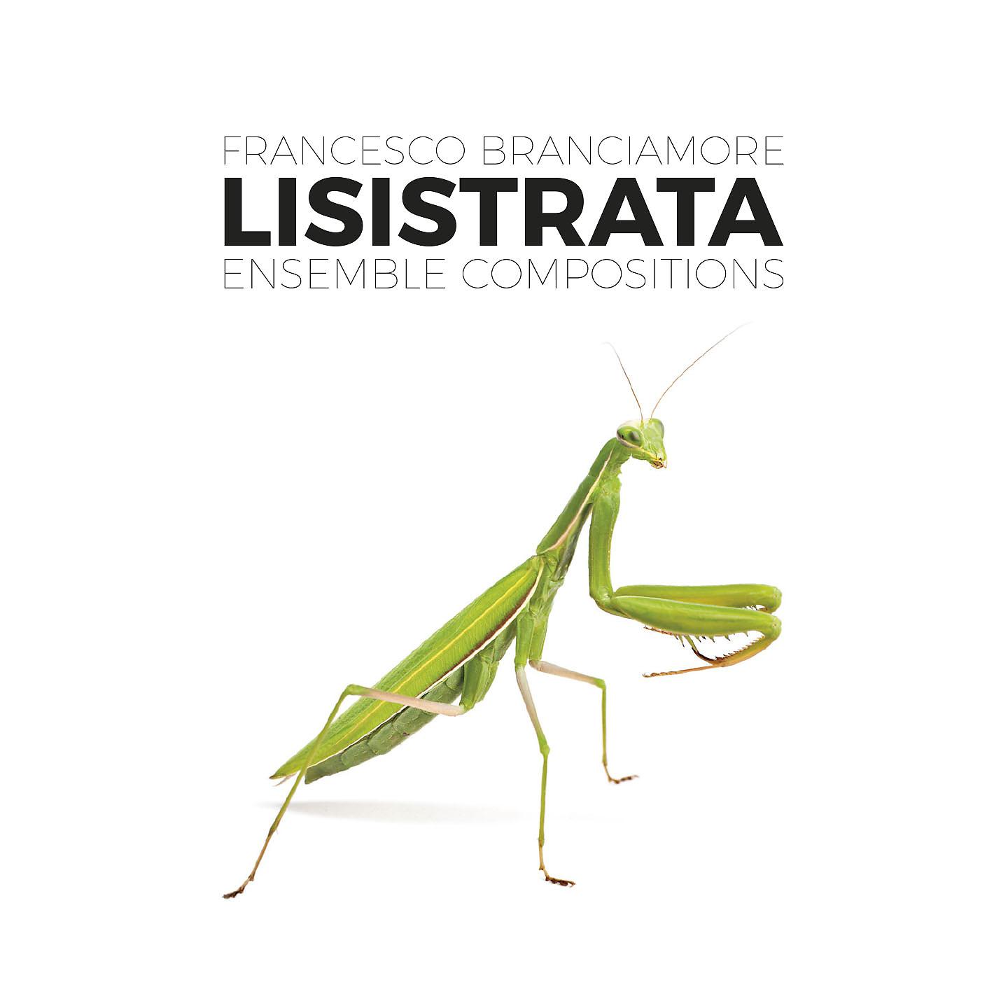 Постер альбома Lisistrata