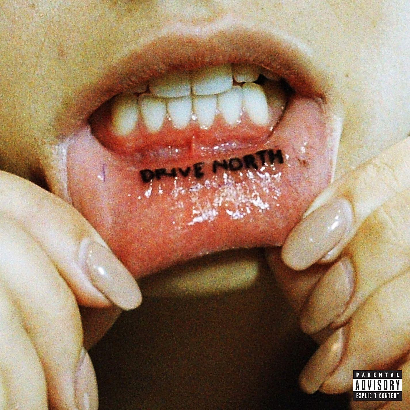 SWMRS - Palm Trees