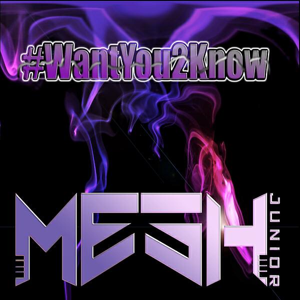 Mesh Junior - WantYou2Know (feat. Nasty_C) (Original Mix)