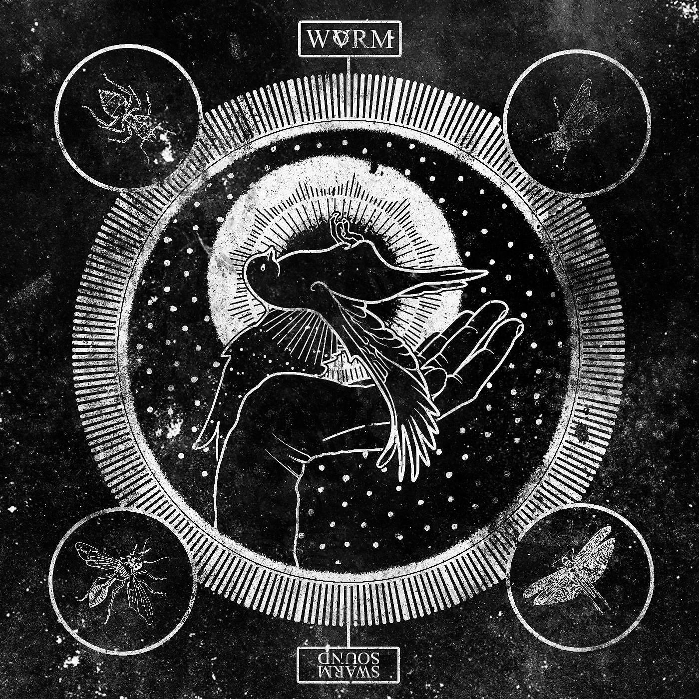 Постер альбома Swarm Sound