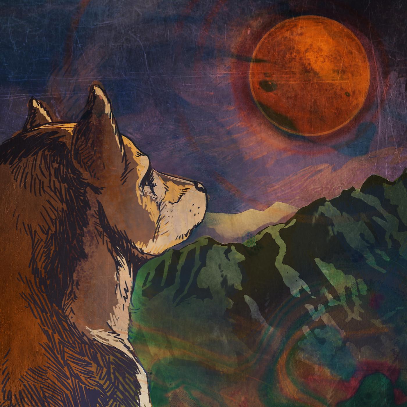 The Y Axes - Meteorite