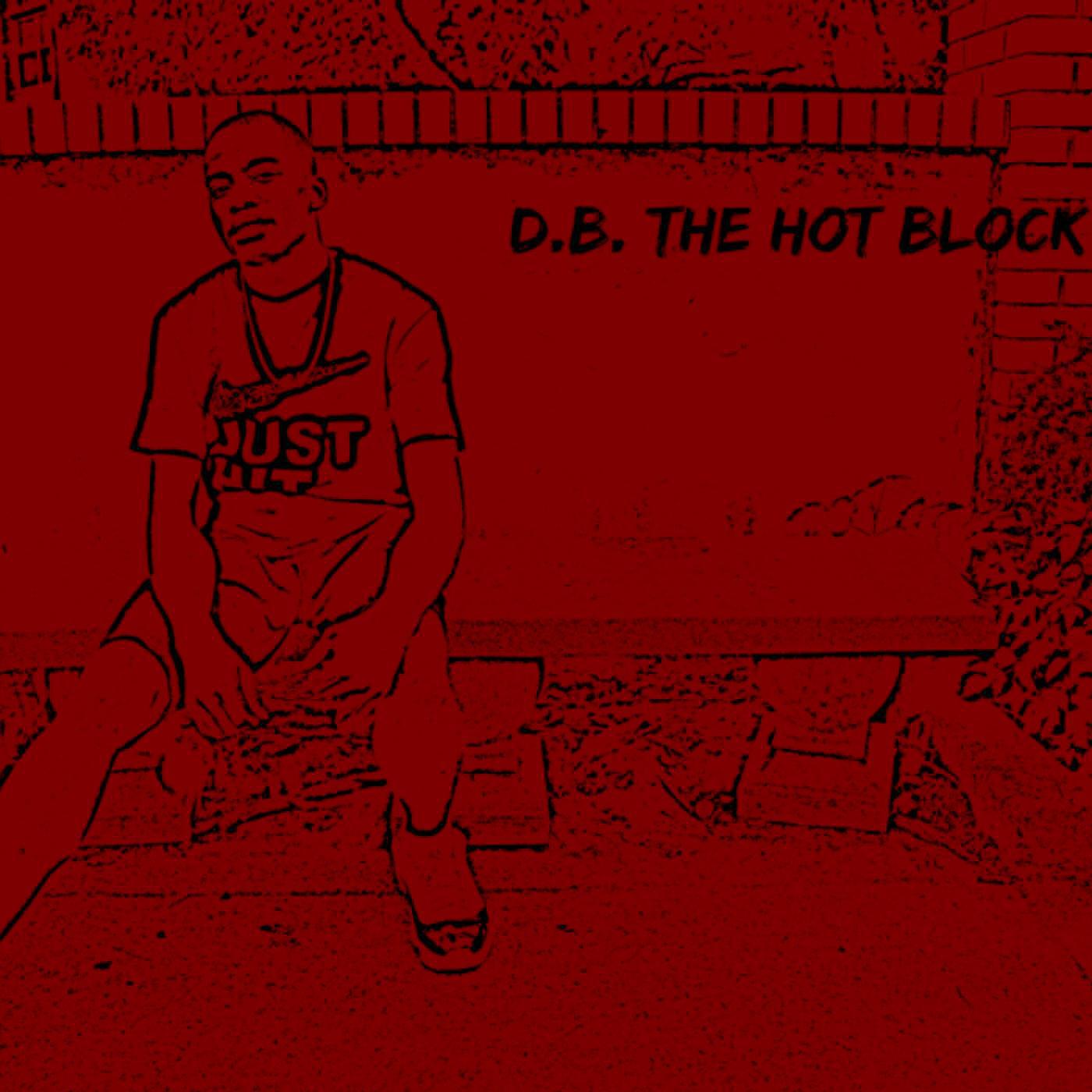 D.B. - Black Angus Cow