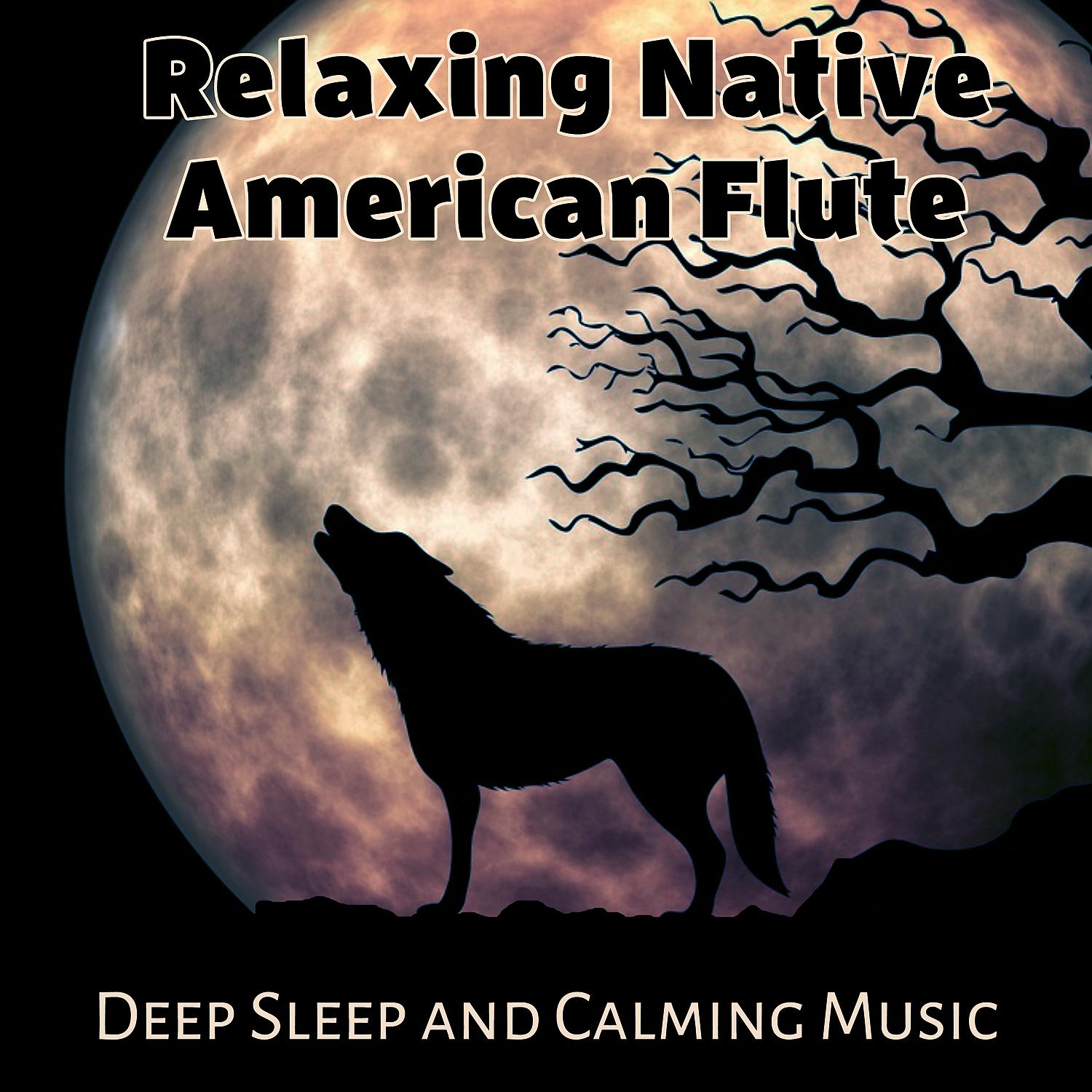 Постер альбома Relaxing Native American Flute: Deep Sleep and Calming Music for Meditation, Stress Relief, Chakra Healing, Indiana Dreams