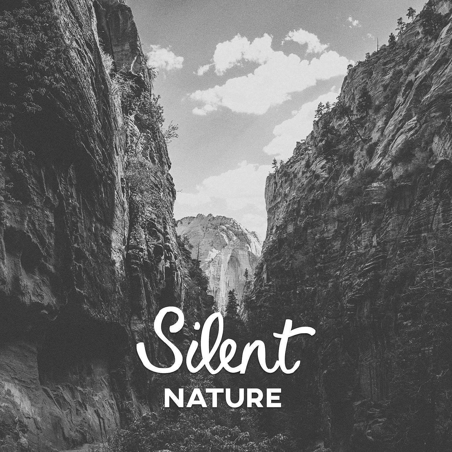 Постер альбома Silent Nature – Soothing Sounds, Healing New Age Music, Quiet Nature, Peaceful Waves