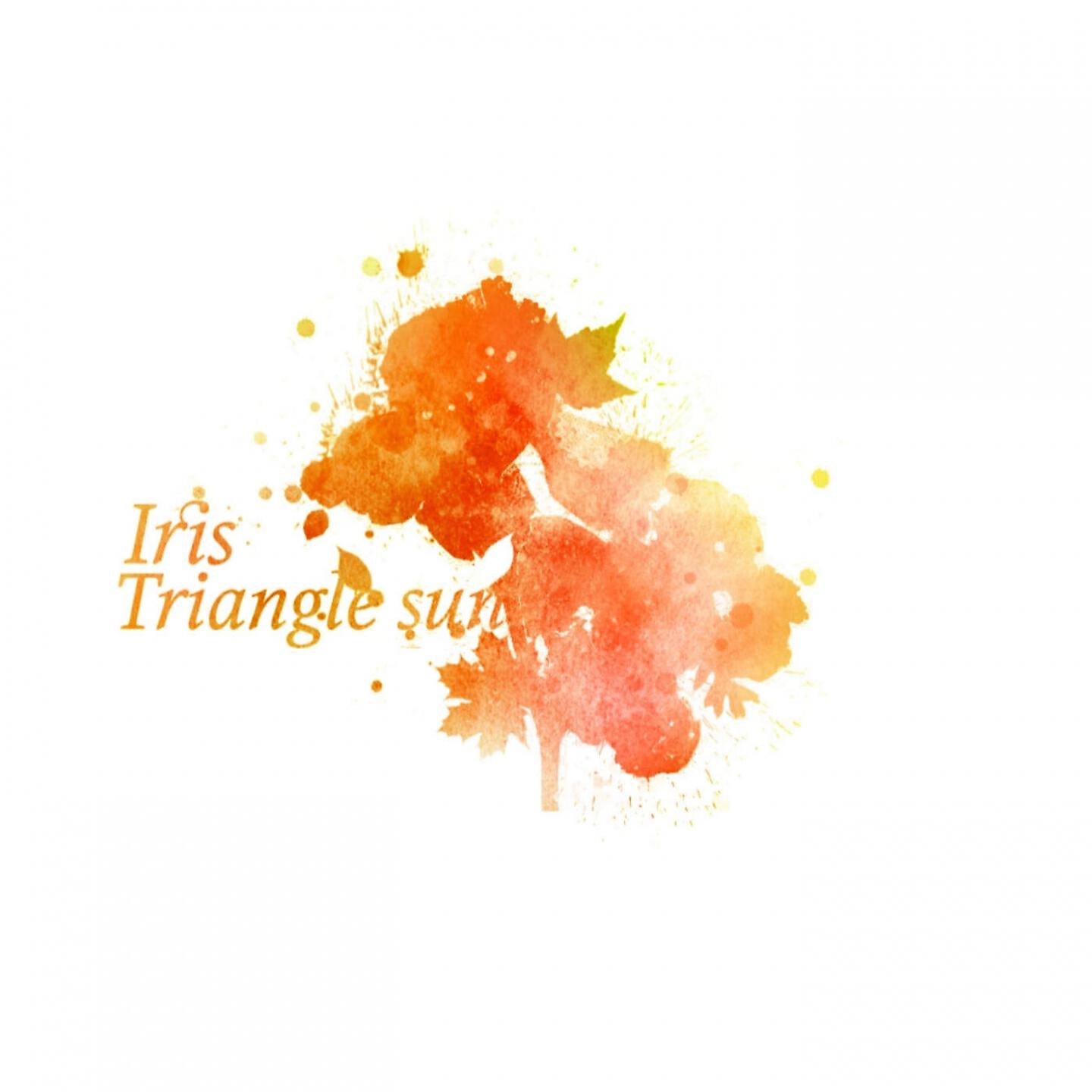 Triangle Sun - Back to Soul