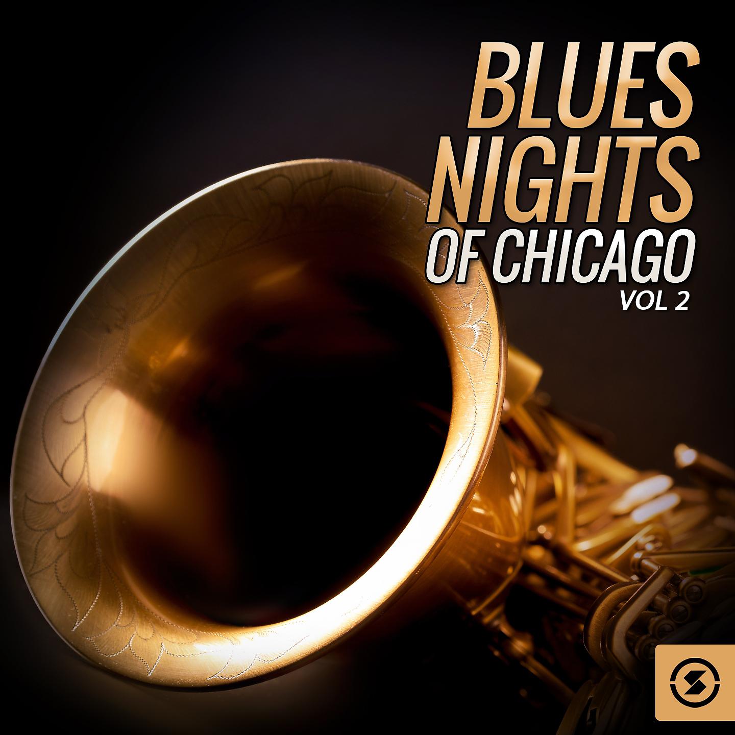 Постер альбома Blues Nights of Chicago, Vol. 2