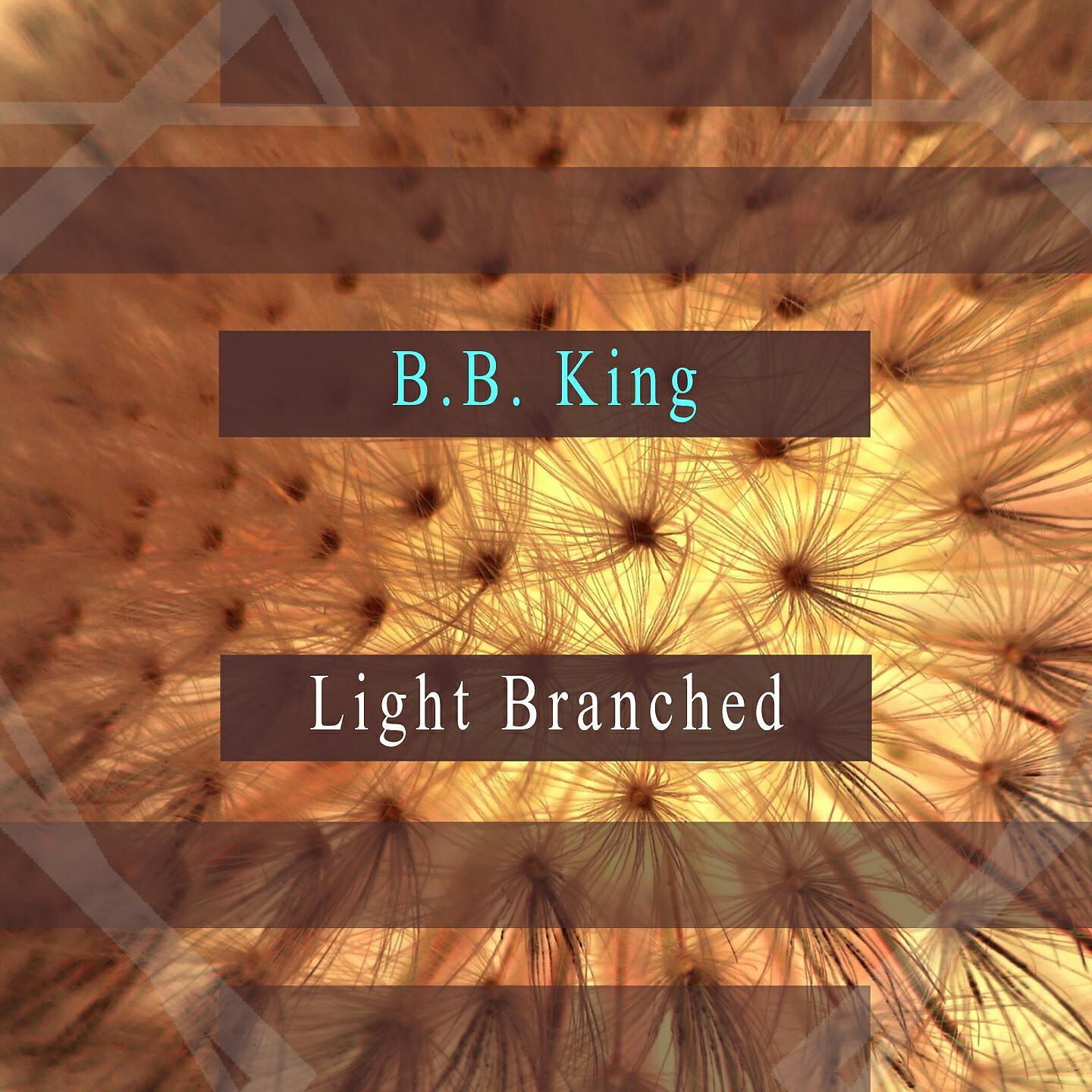 B.B. King - Slow Walk aka Slow Burn