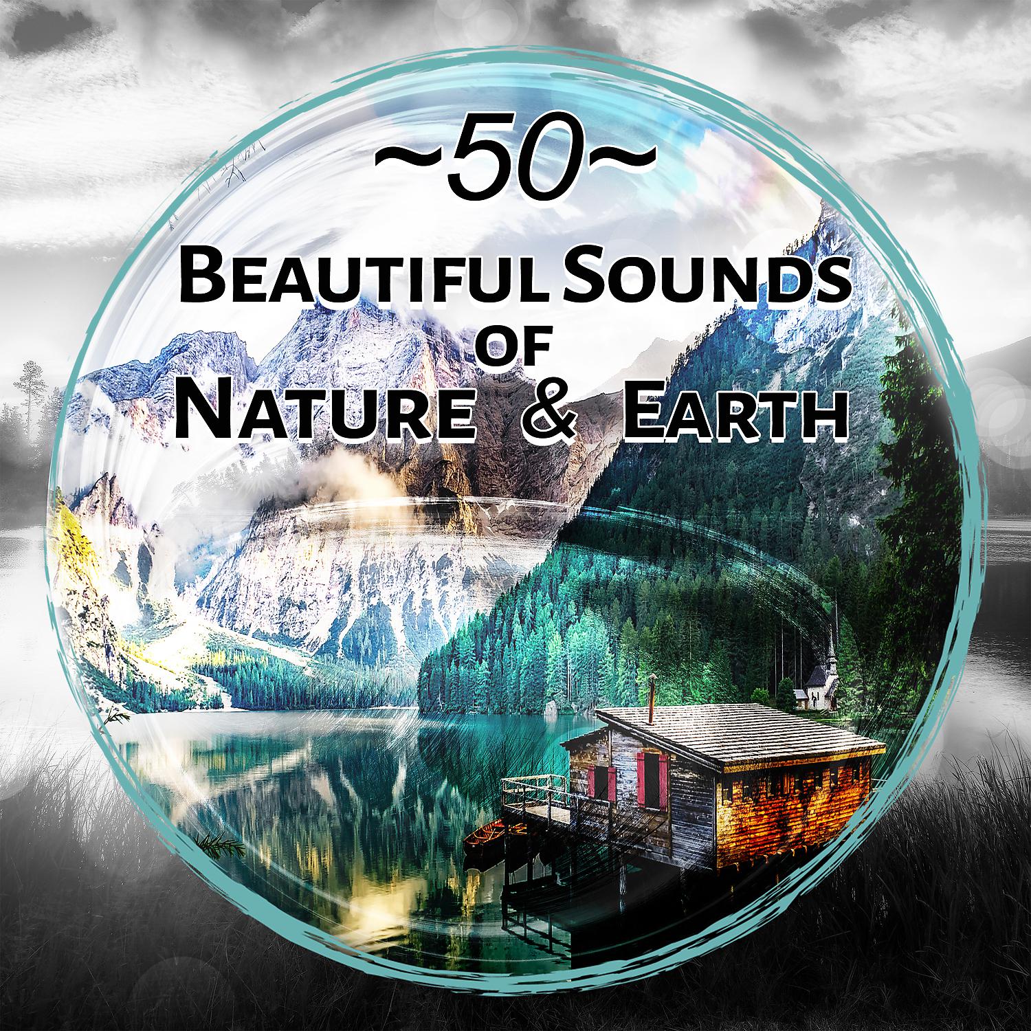 Постер альбома 50 Beautiful Sounds of Nature & Earth: New Age Music, Healing Water Affirmations, Heavenly Relaxation, Meditation, Yoga, Calming Sea Sound, Rain for Deep Sleep, Serenity & Massage Music