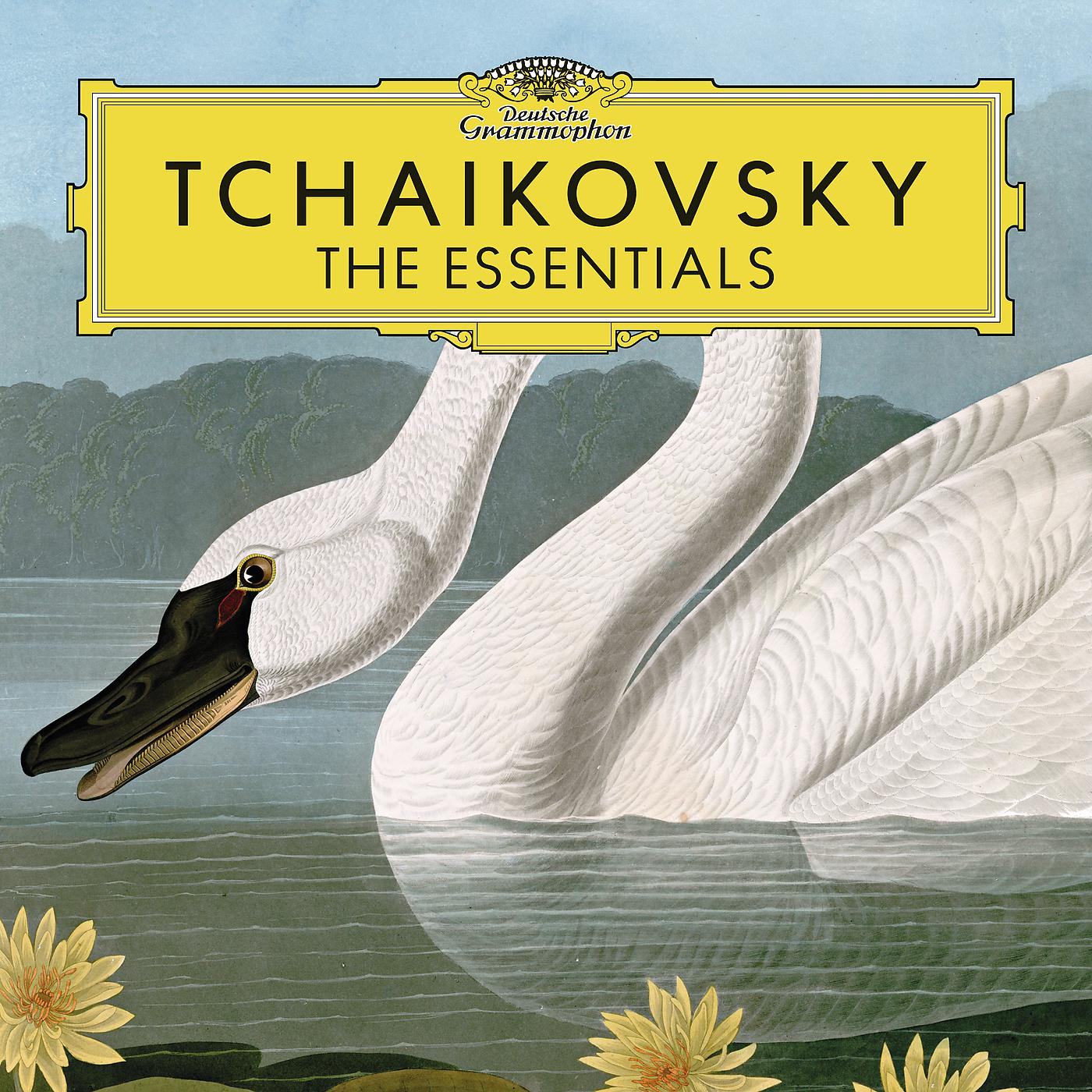 Постер альбома Tchaikovsky: The Essentials