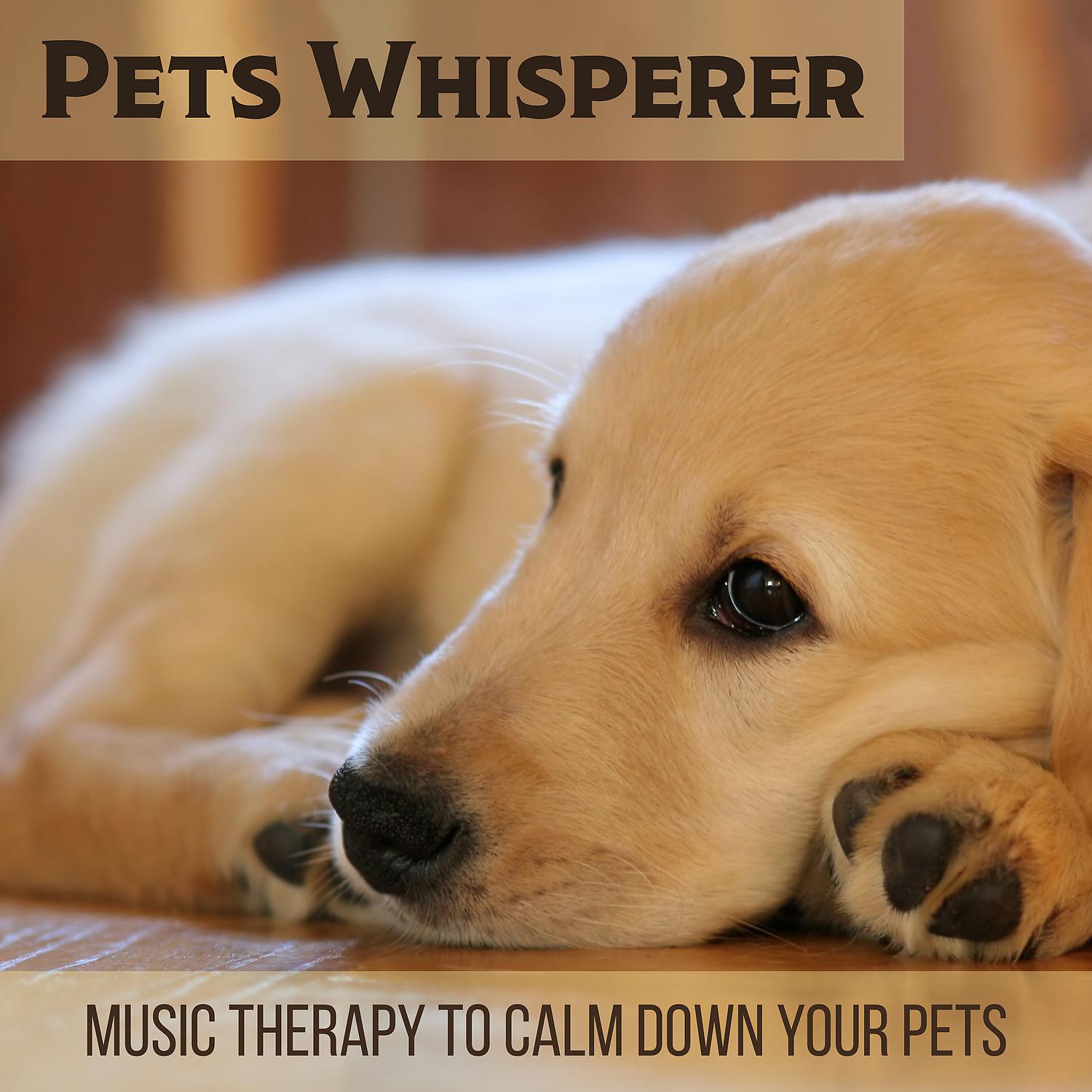 Постер альбома Pets Whisperer: Music Therapy to Calm Down Your Pets, Stress Relief, Relaxing Medication, Calm Dog and Cat