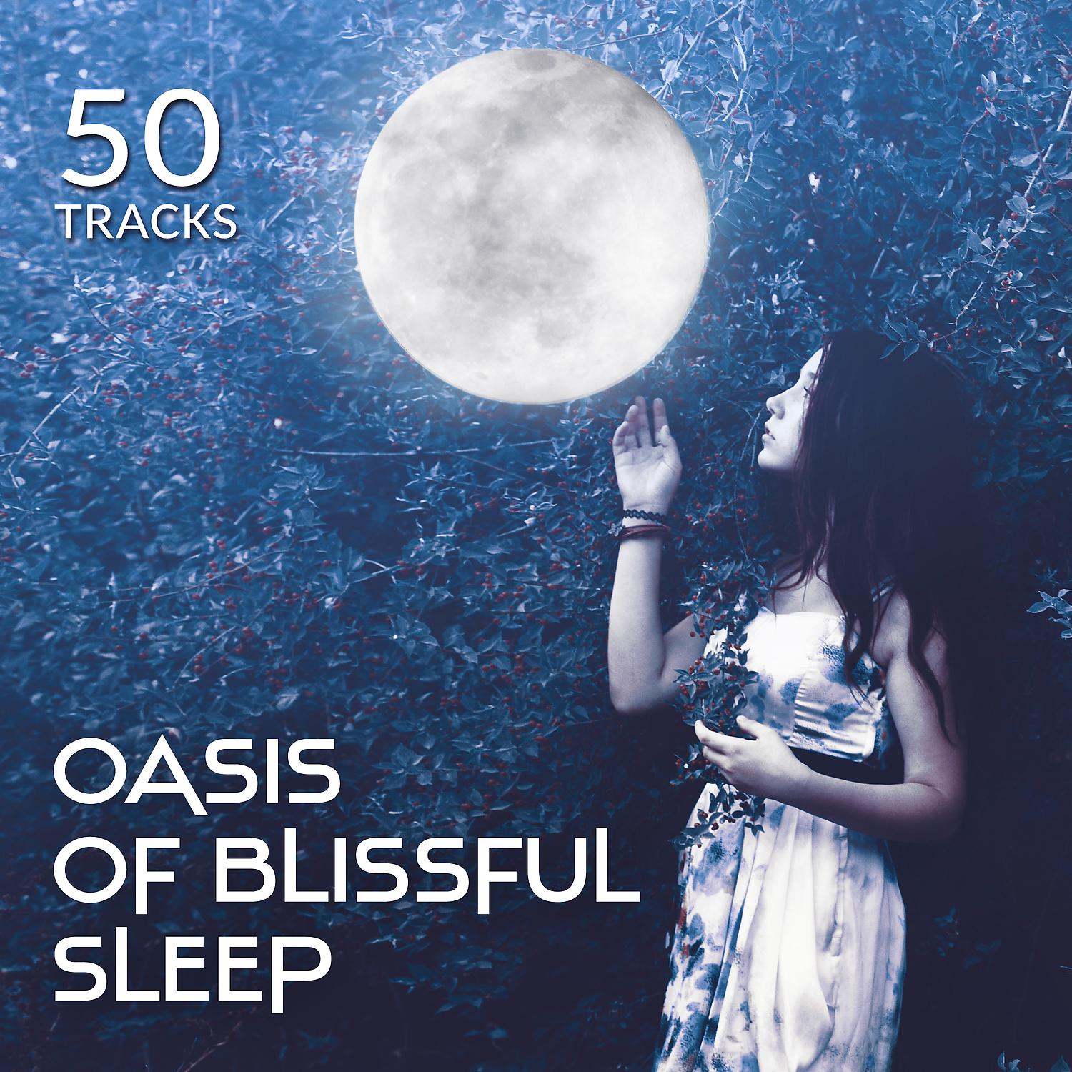 Постер альбома 50 Tracks: Oasis of Blissful Sleep, Hypnosis, Meditation Music for Relaxation & Deep Rest, Yoga Nidra, Healing Music for Sweet Dreams, Serenity, Sleep Aid