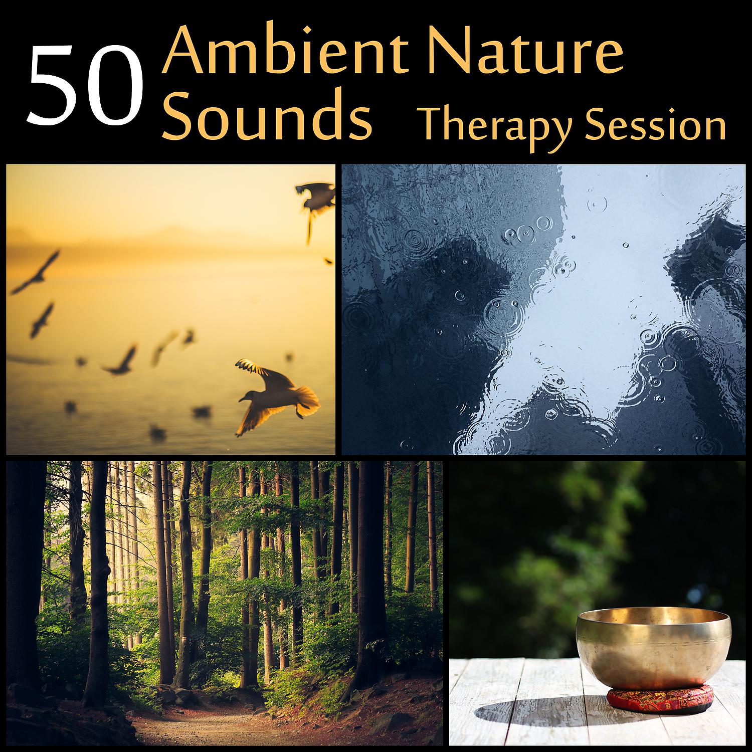 Постер альбома 50 Ambient Nature Sounds: Therapy Session - Serenity Instrumental Music for Yoga, Meditation, Relax of Spa (Flute & Piano, Tibetan Bowls, Waterfall, Calm Sea, Rain, Birds & Forest)