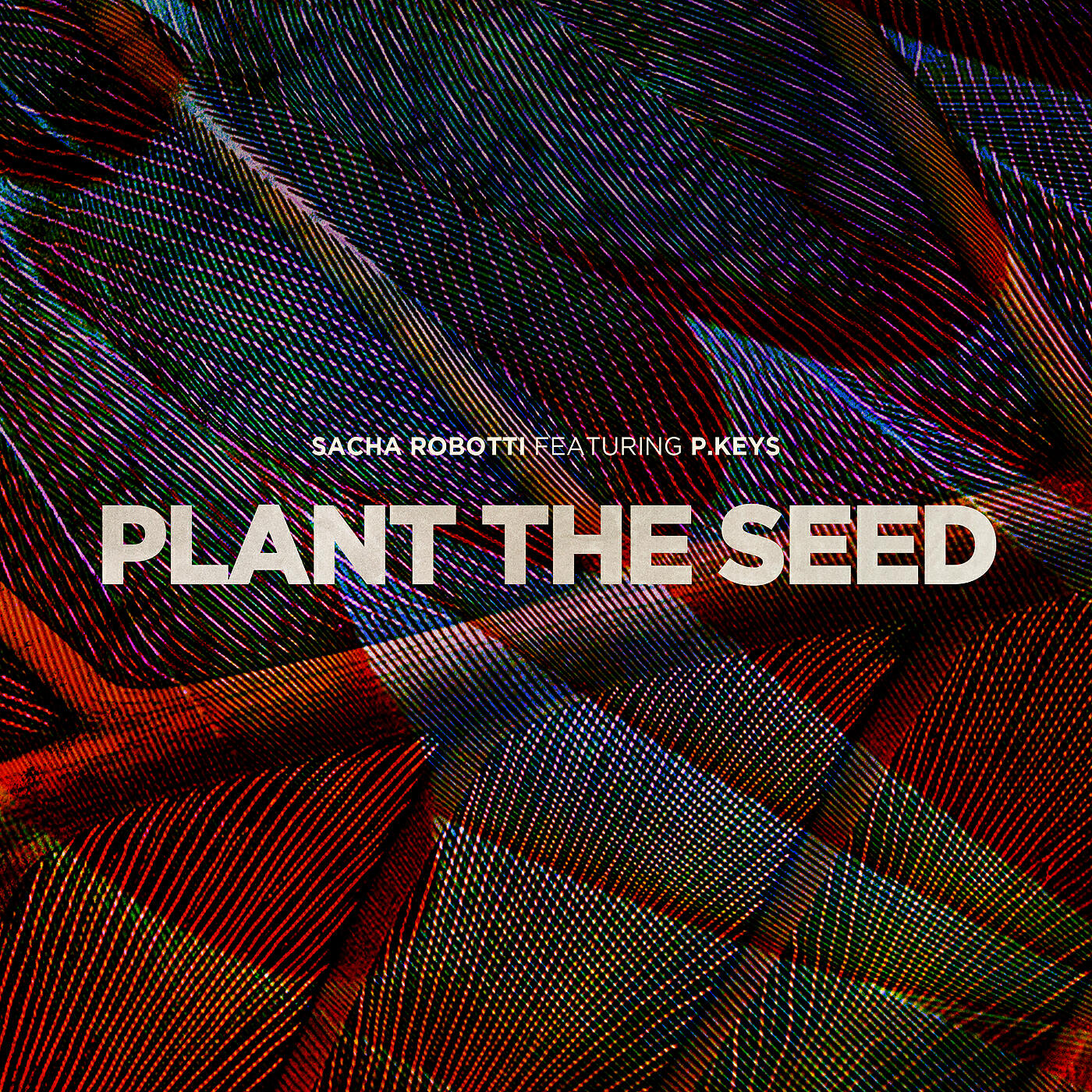Sacha Robotti - Plant The Seed