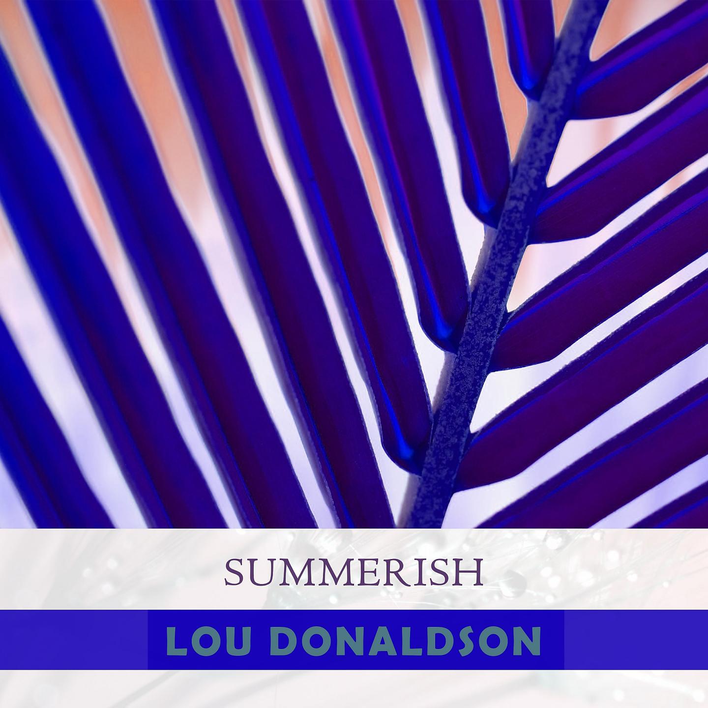 Постер альбома Summerish