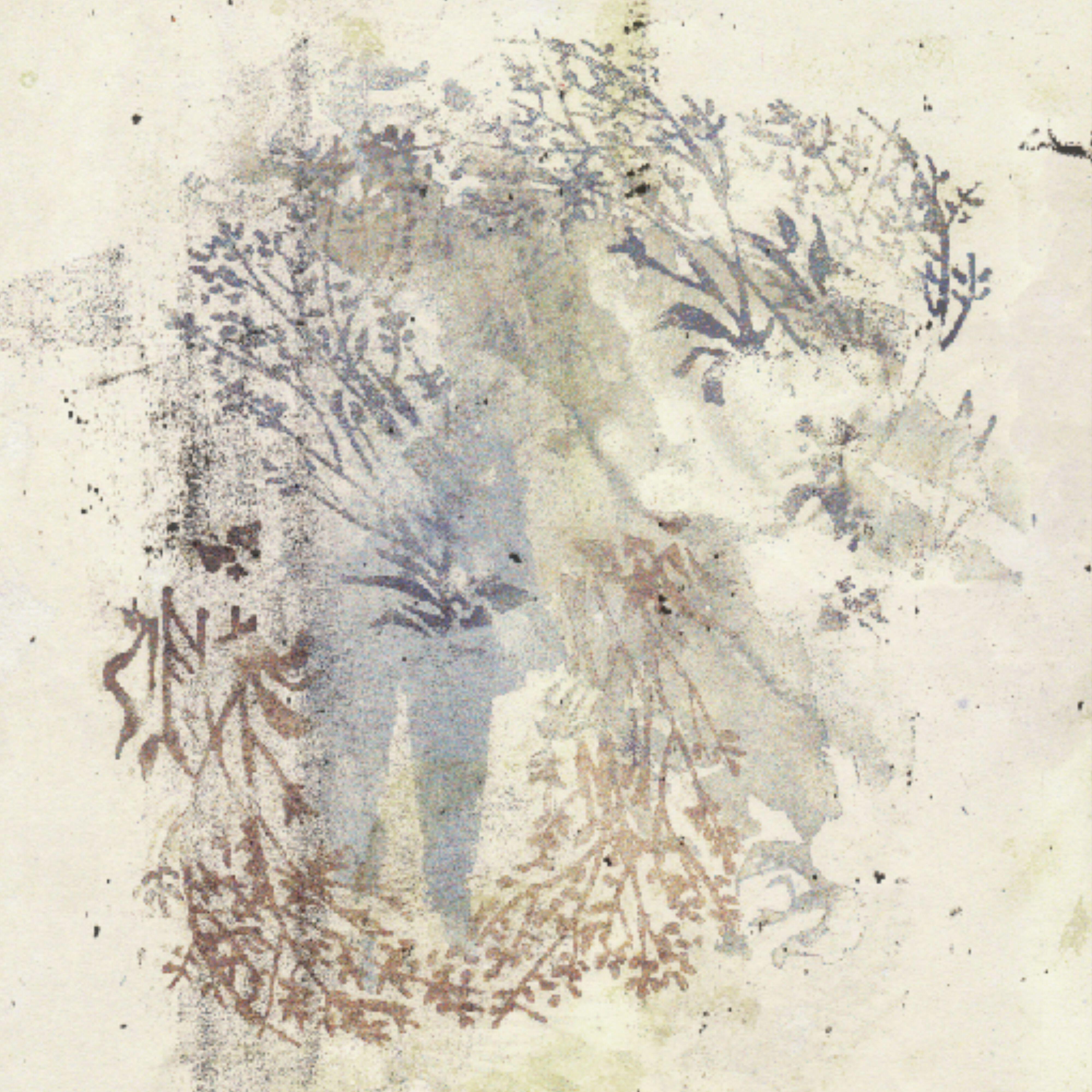 Sigur Ros - Hoppípolla (Planet Earth II Mix)