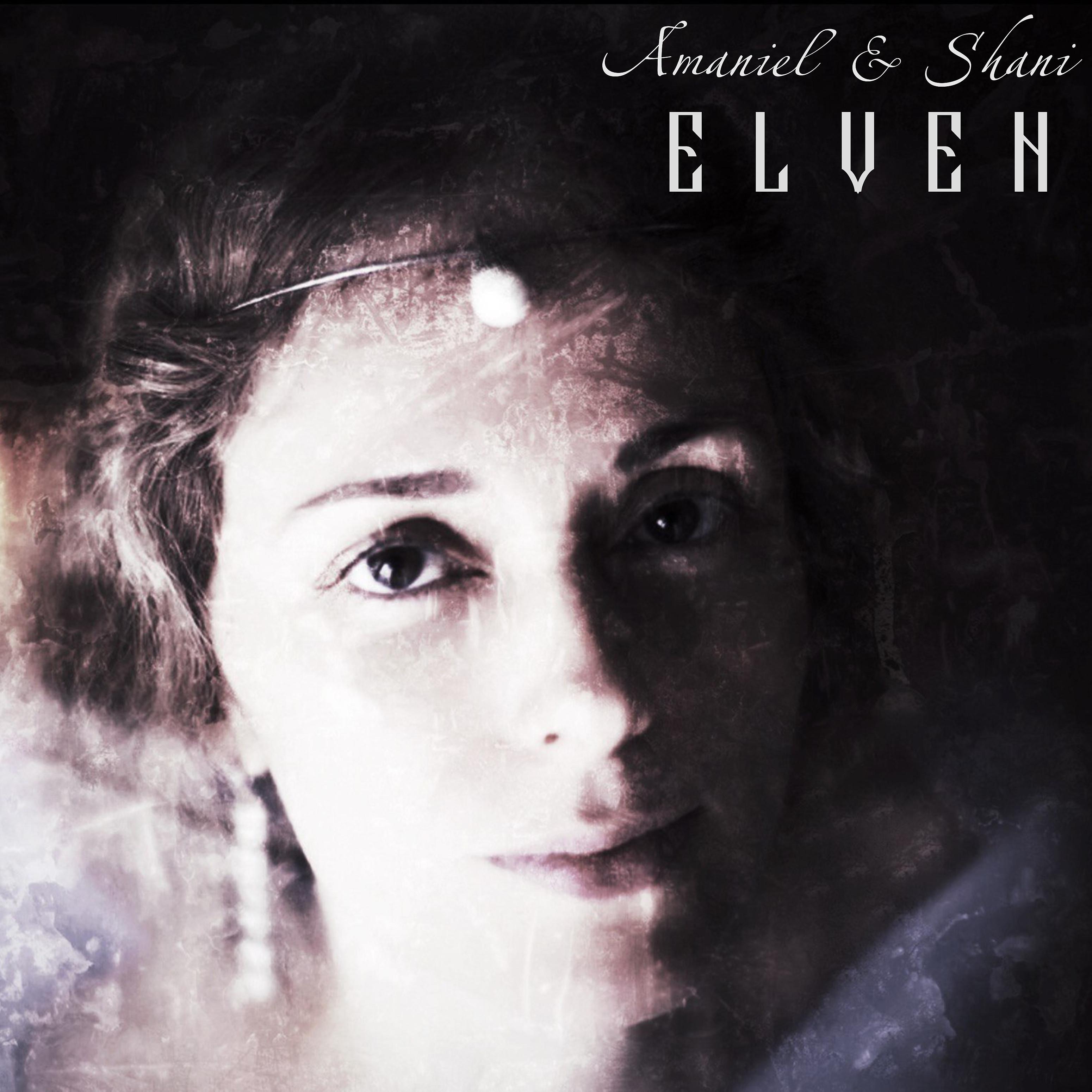 Постер альбома Elven