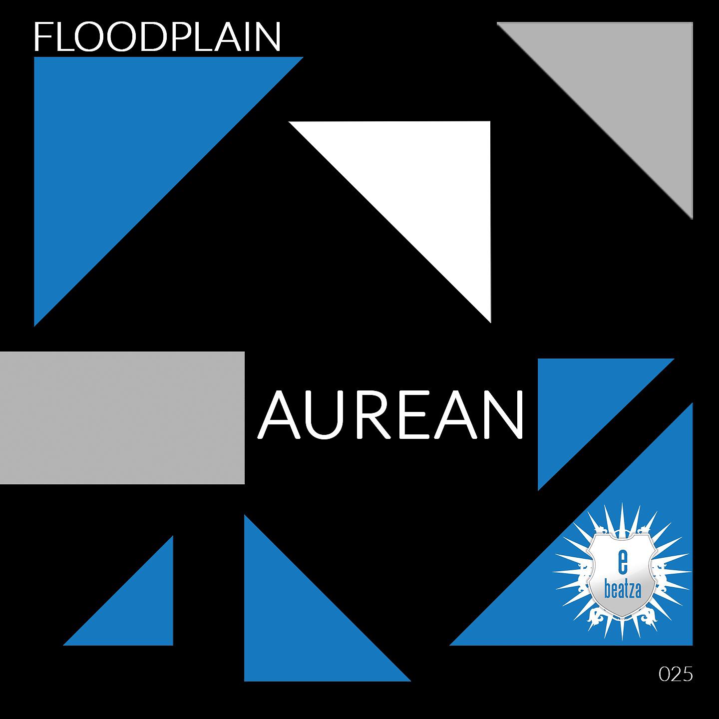 Постер альбома Floodplain