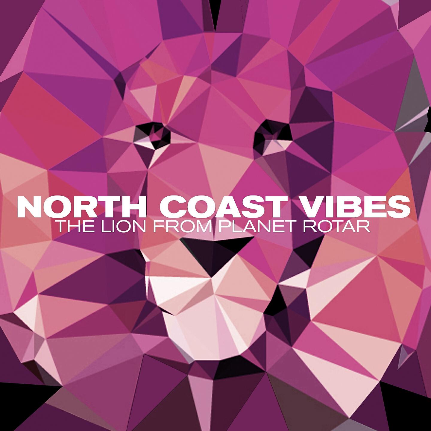 North Coast Vibes - Say It (Over and Over)