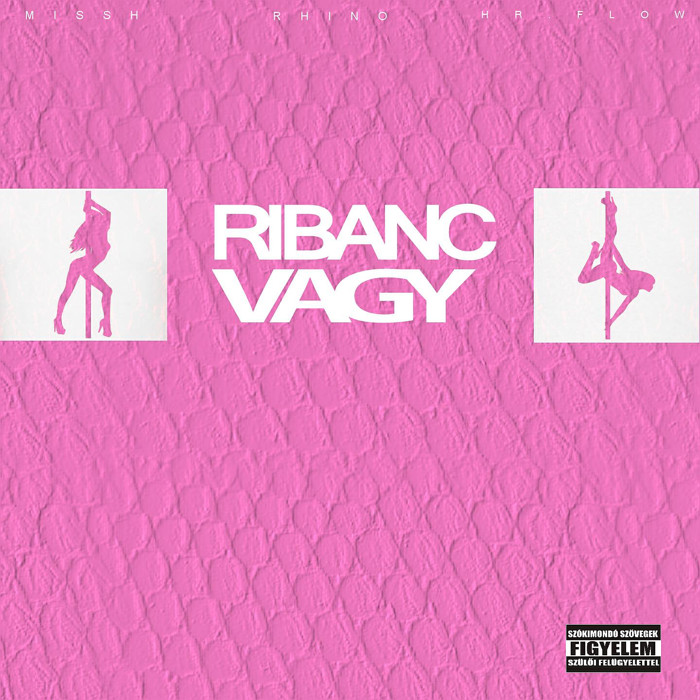 HRflow - Ribanc Vagy