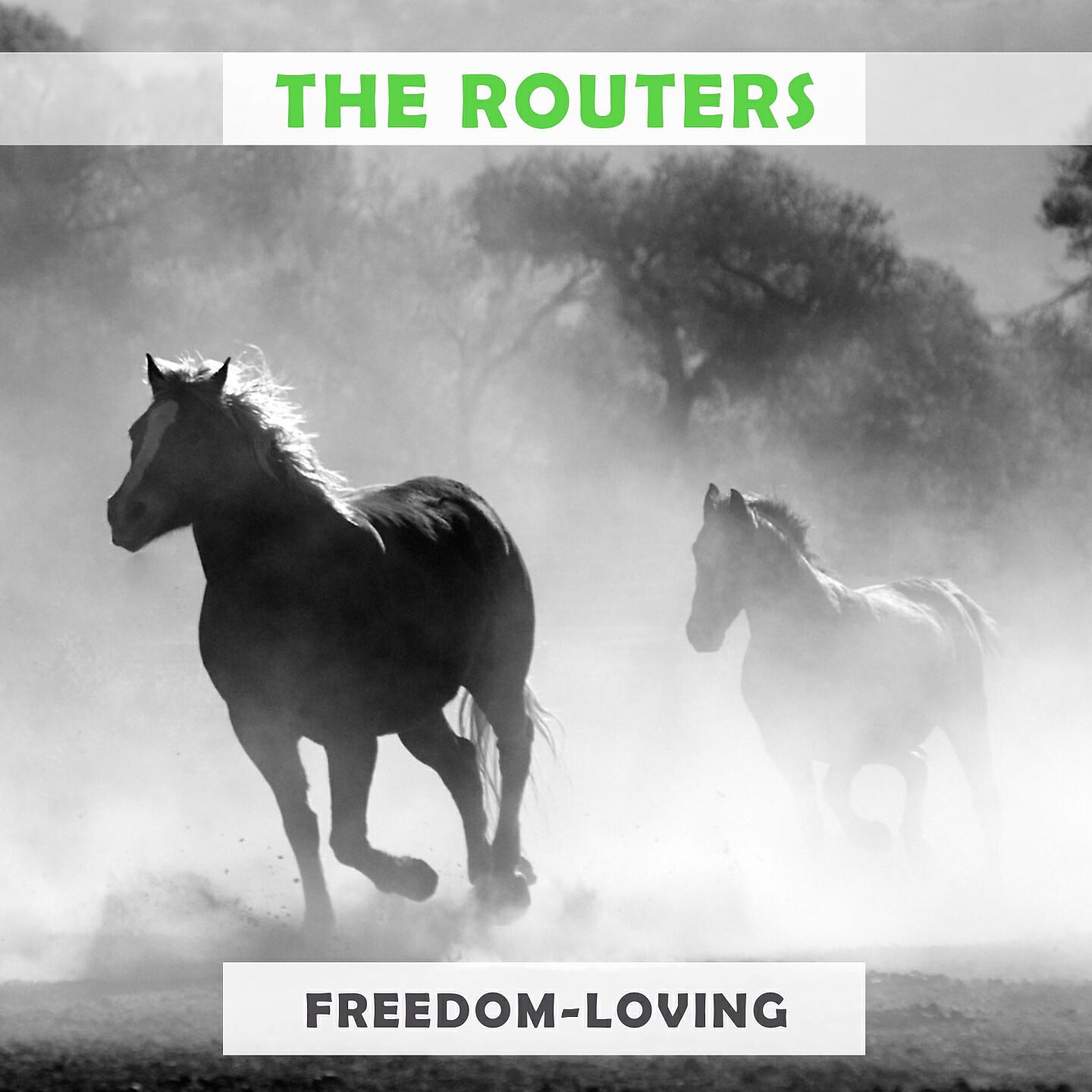 The Routers - Guitar Man