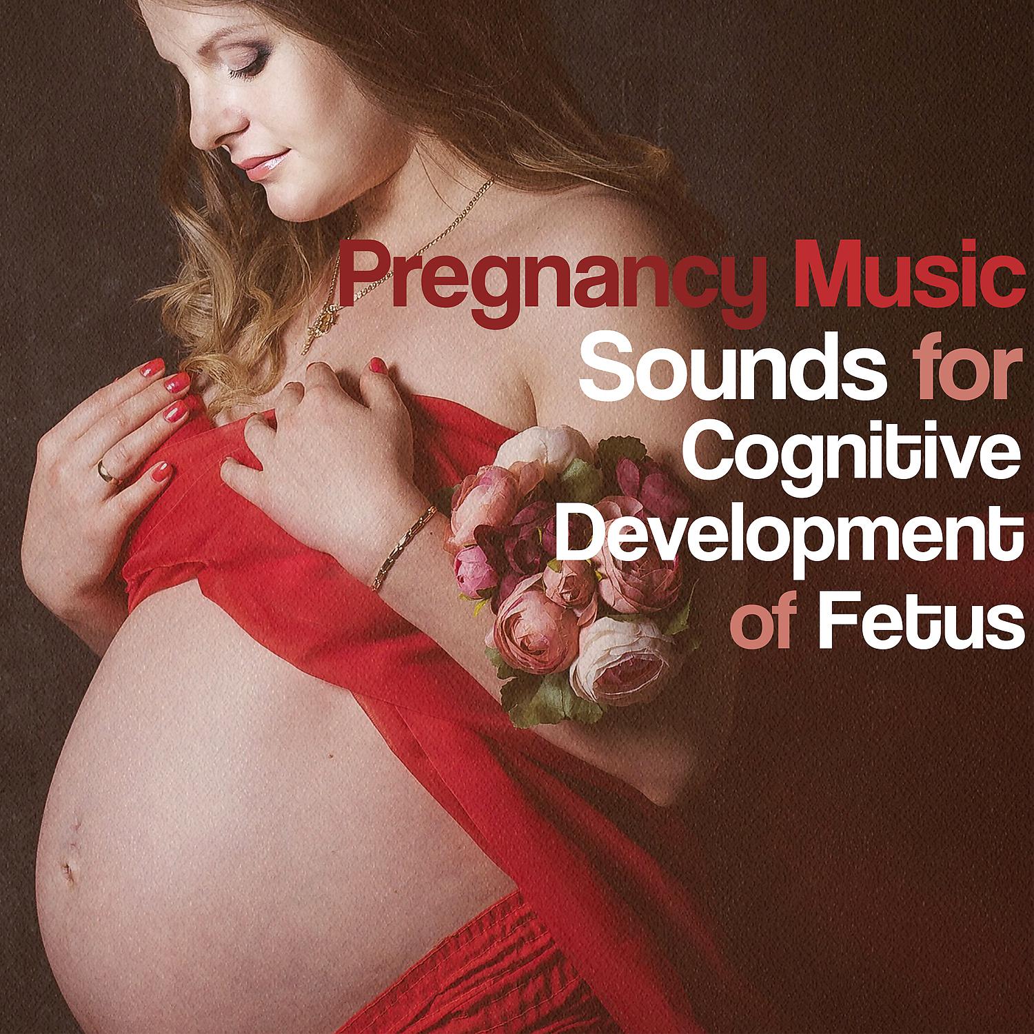 Постер альбома Pregnancy Music: Sounds for Cognitive Development of Fetus, Early Music for the Womb, Baby Music, Sleep Waves