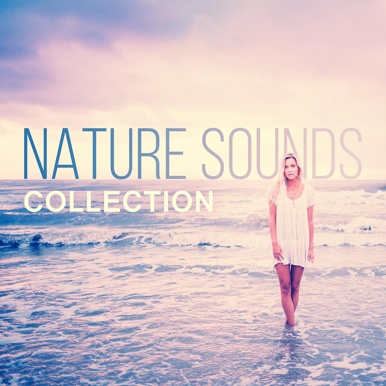 Постер альбома Nature Sounds Collection – Best Music for Relaxation, Learning, Mindfulness Meditation