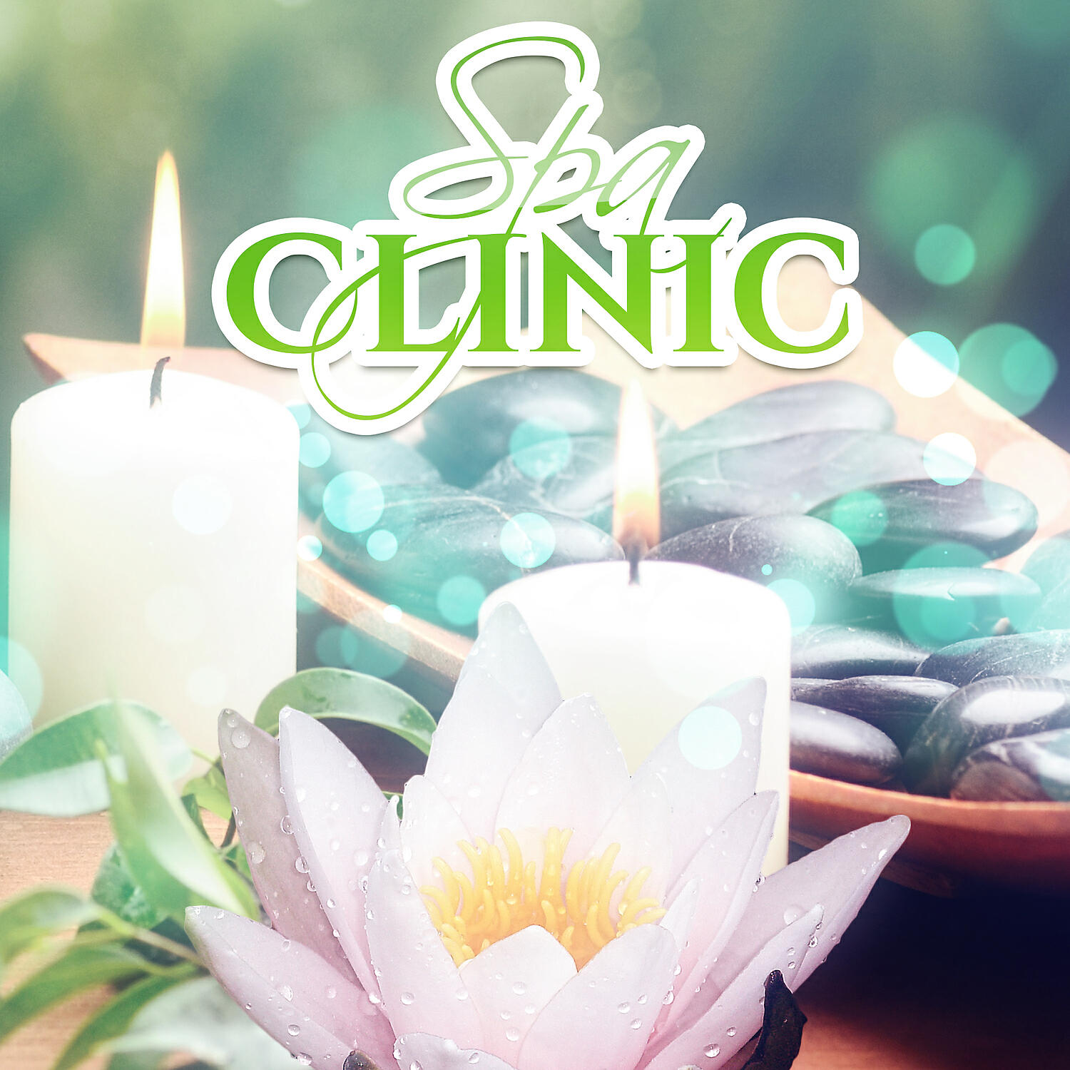 Pure Spa - Bliss Wellness
