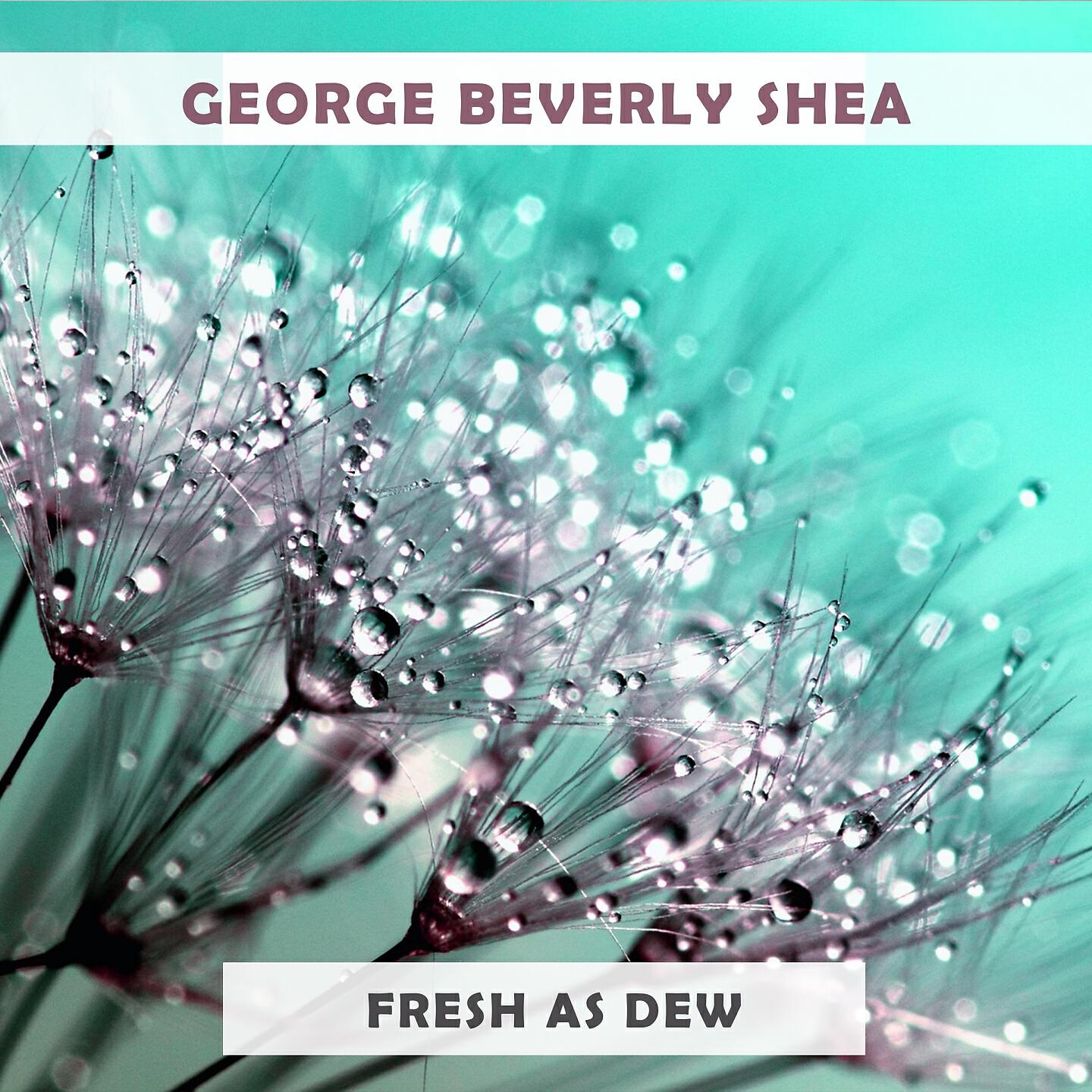 George Beverly Shea - Tenderly He Watches