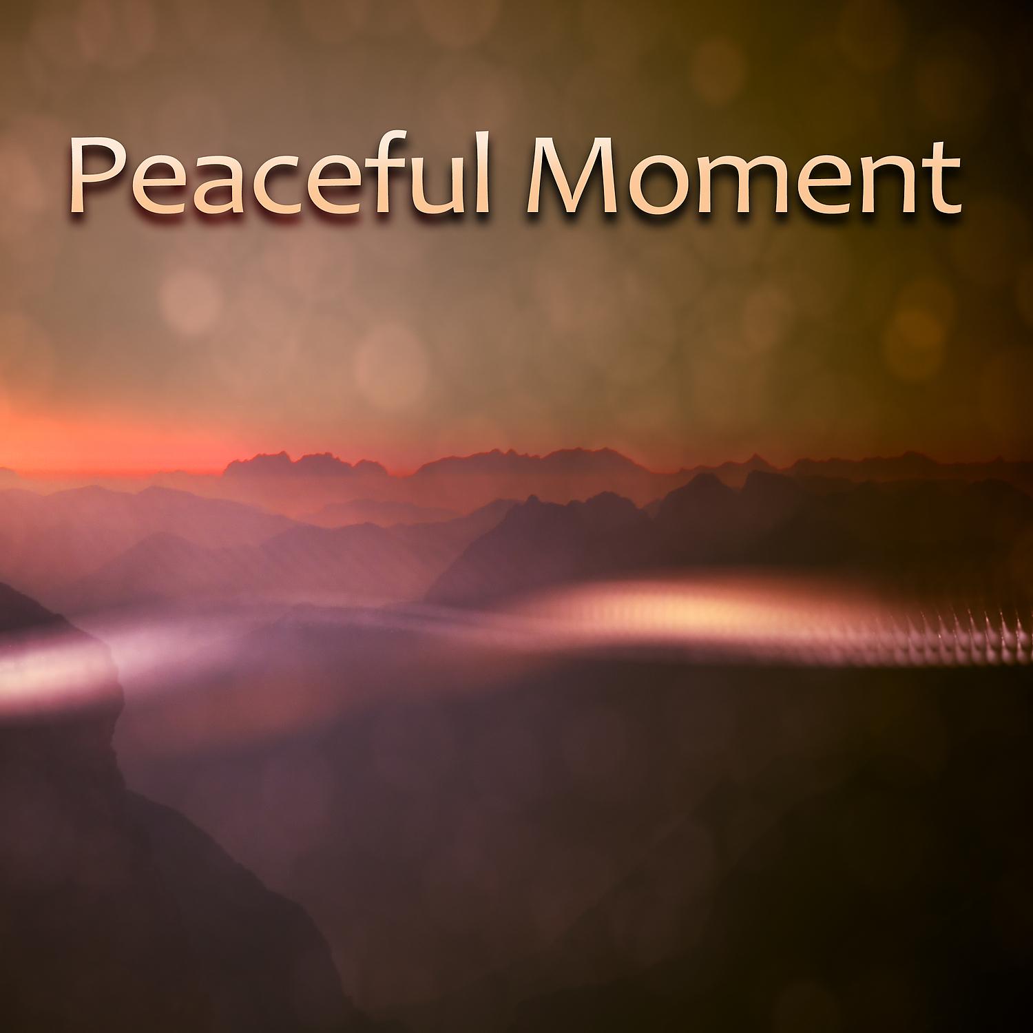 Постер альбома Peaceful Moment – Calm Down, Relax and Rest, Release Stress